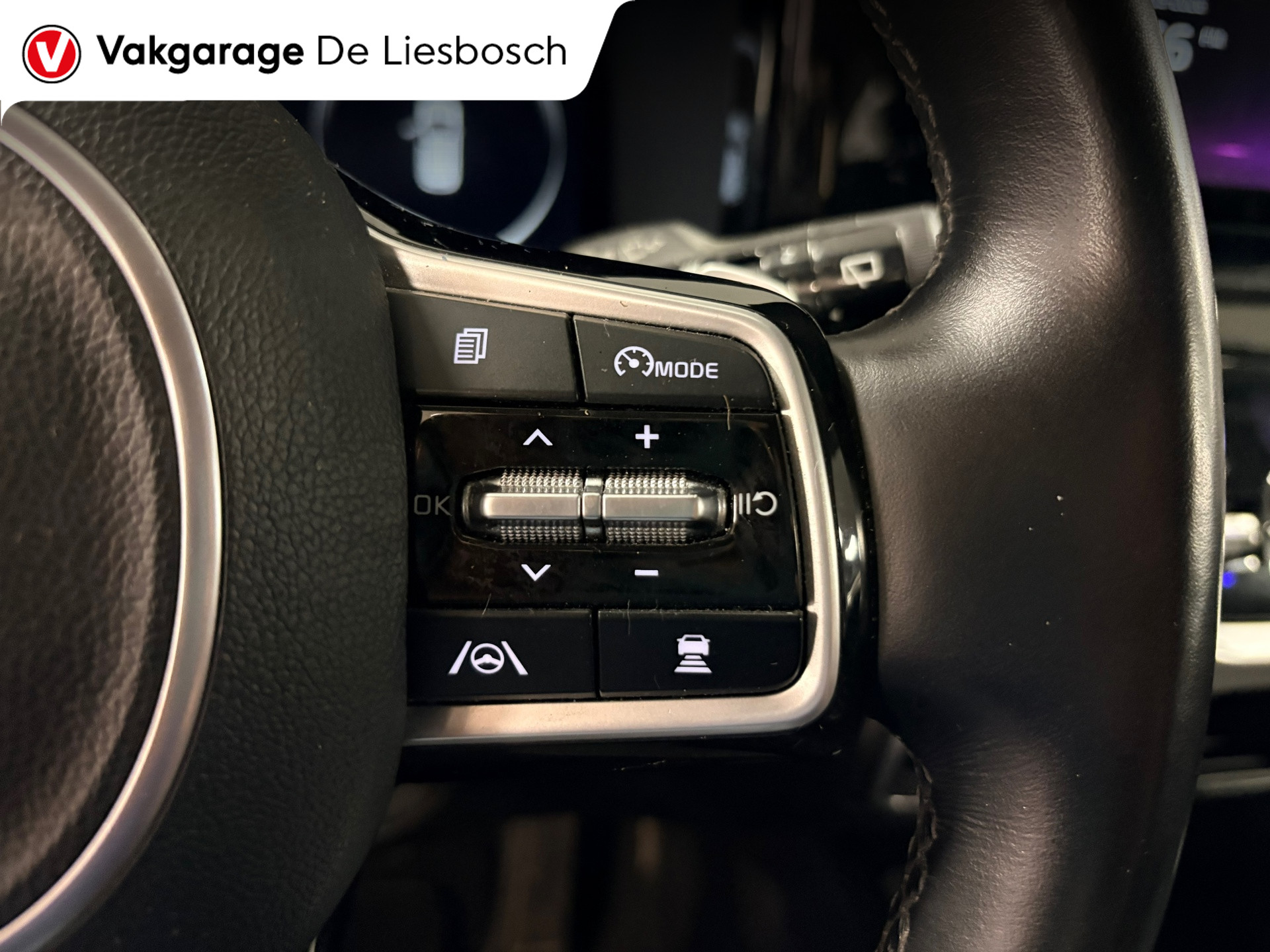 Foto van Kia Sorento