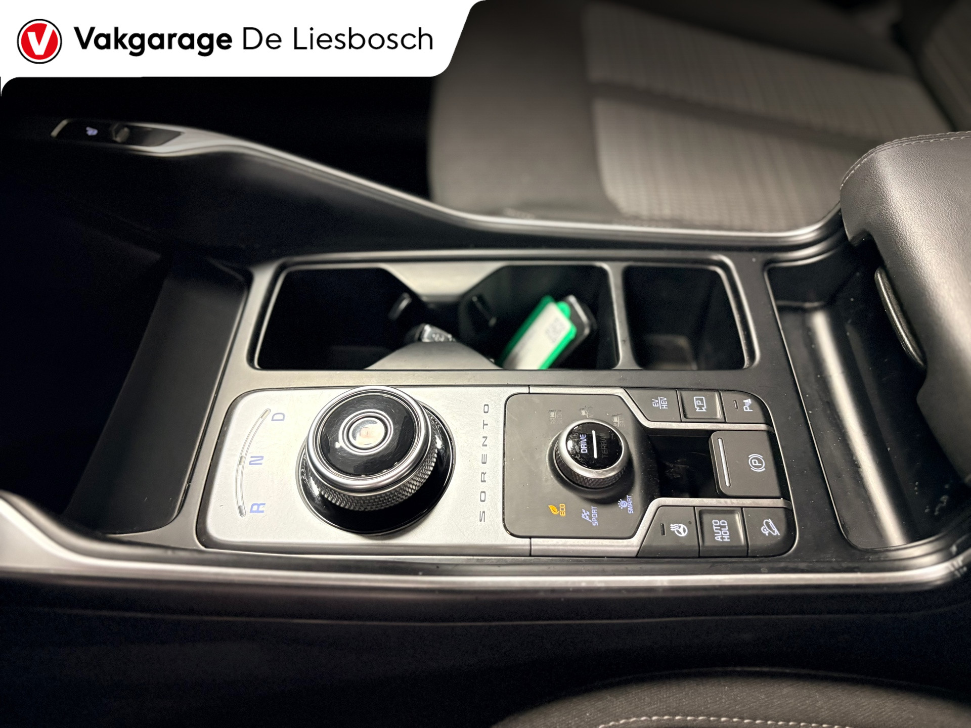 Foto van Kia Sorento