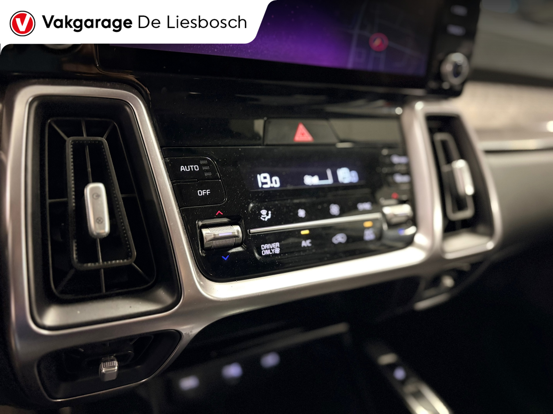 Foto van Kia Sorento
