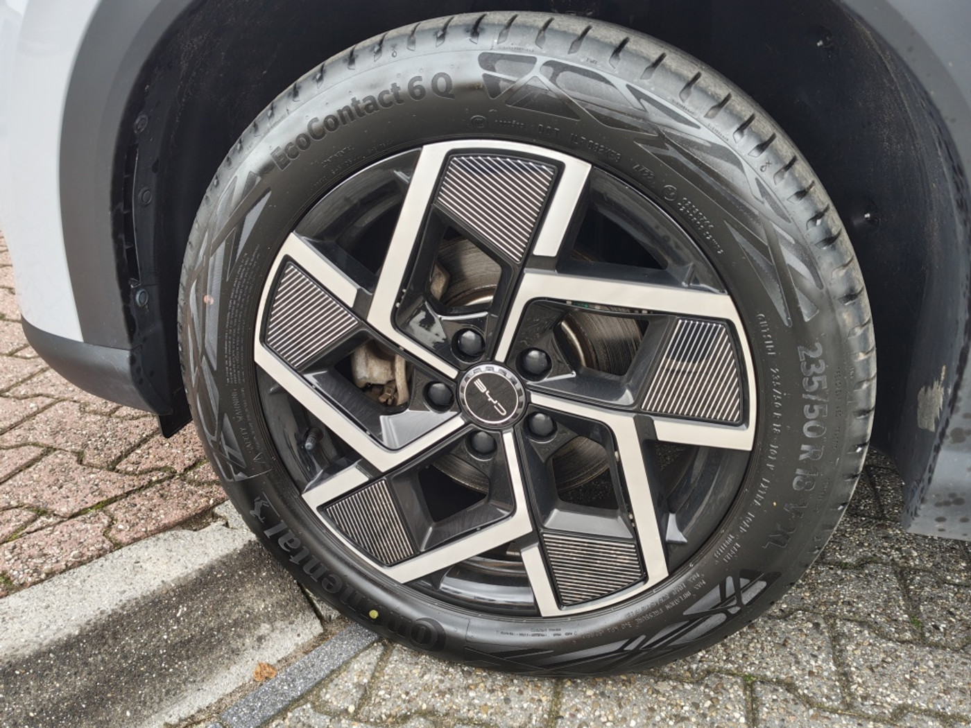 Foto van BYD Atto 3