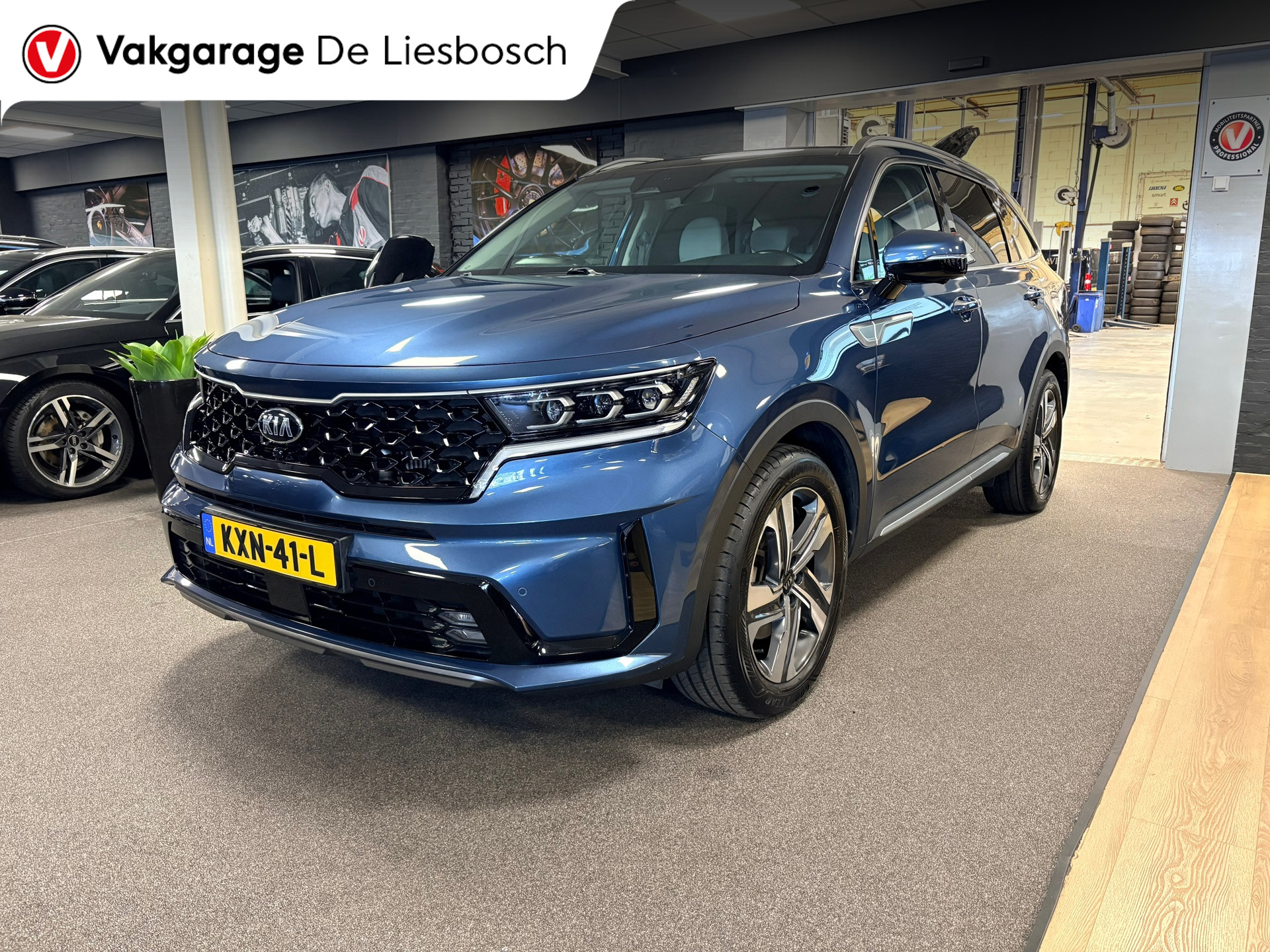 Foto van Kia Sorento