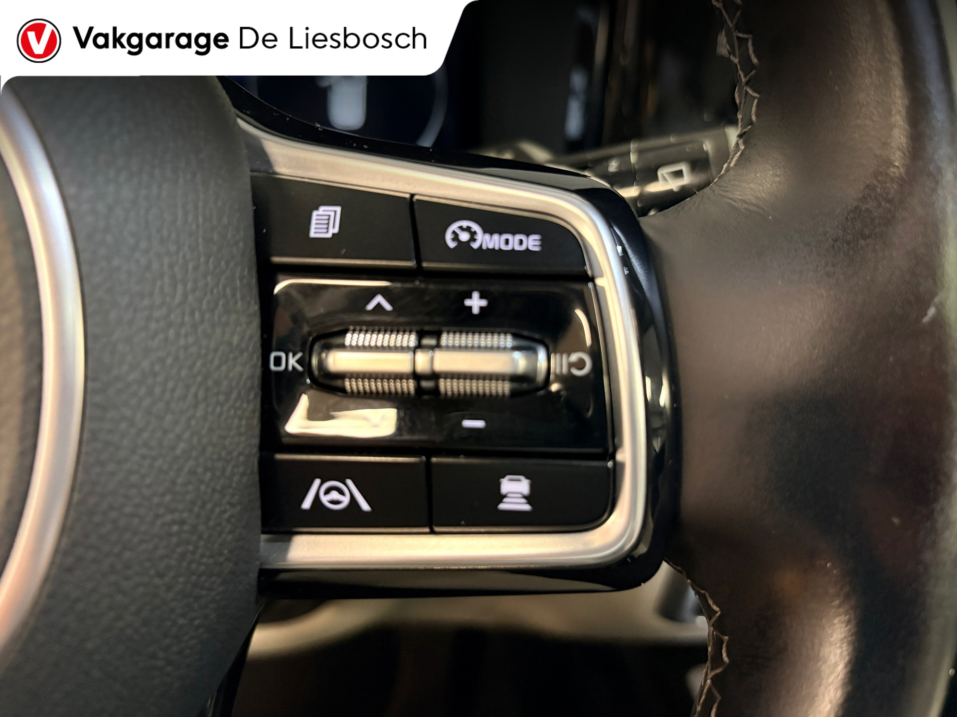 Foto van Kia Sorento