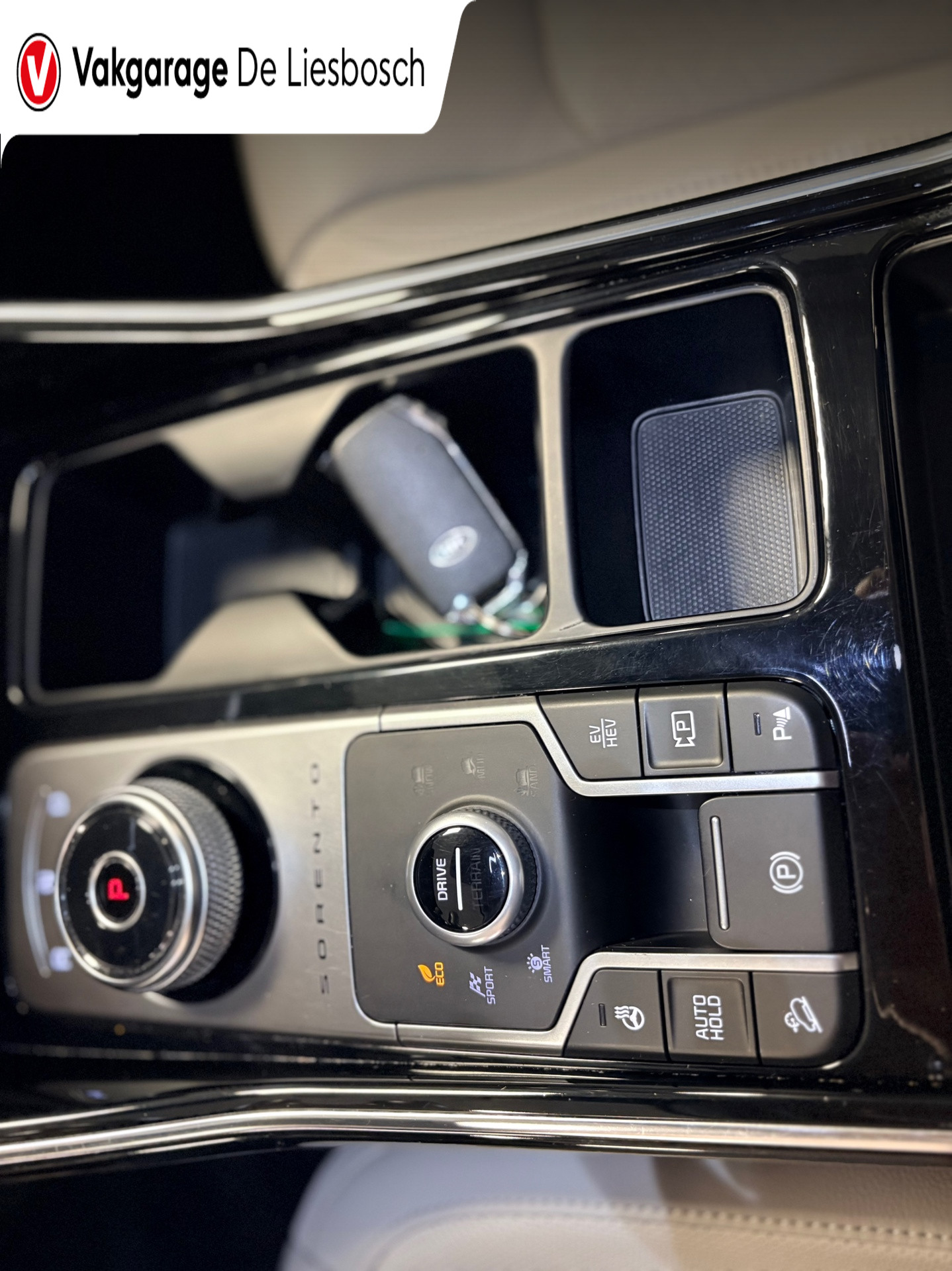 Foto van Kia Sorento
