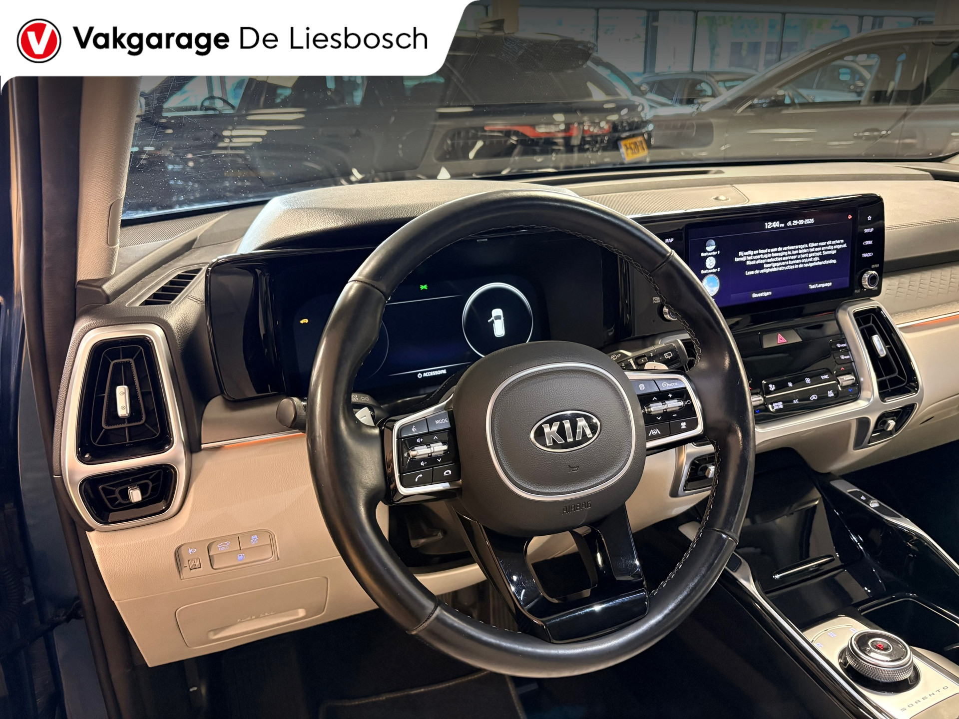 Foto van Kia Sorento