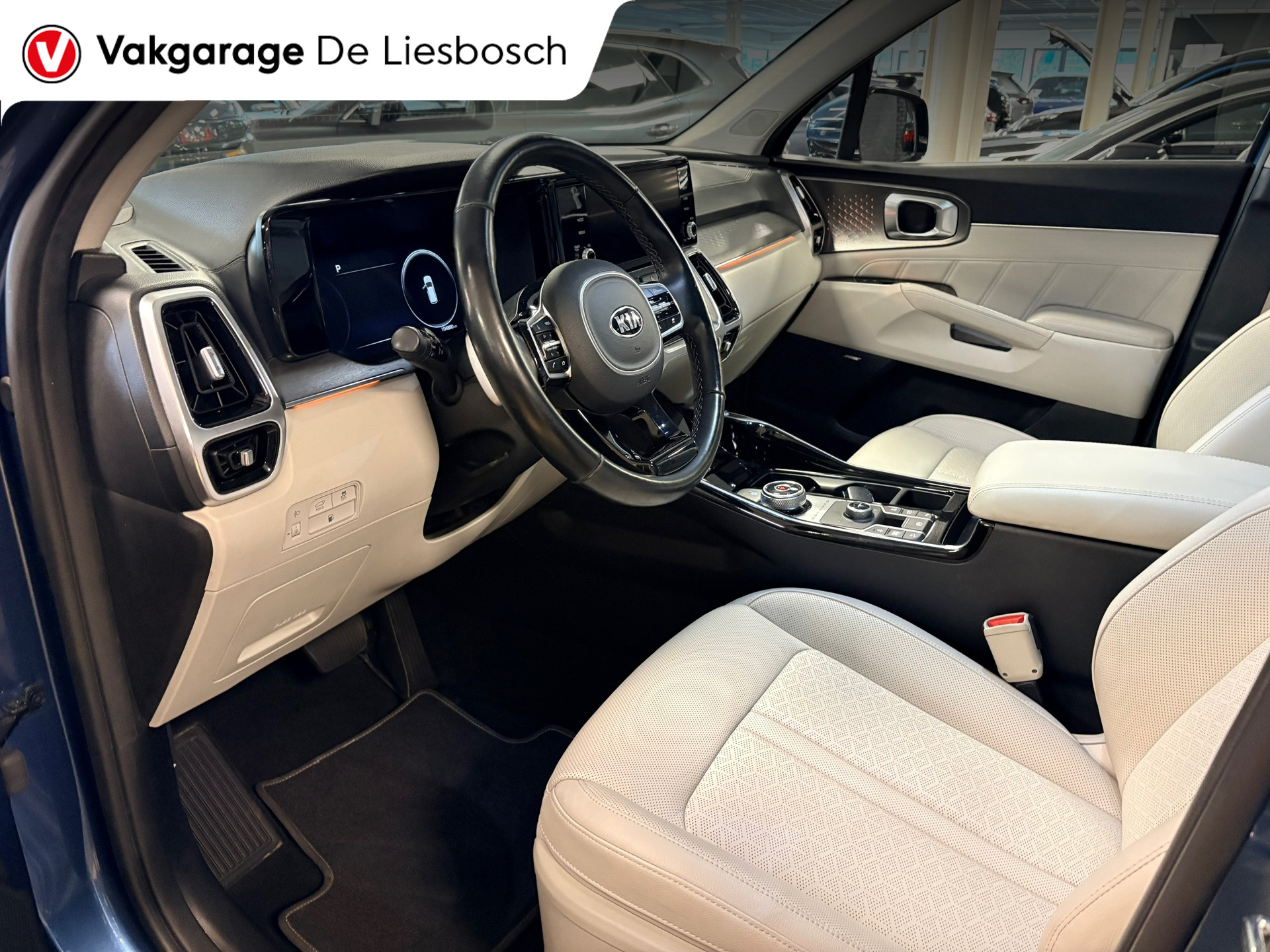 Foto van Kia Sorento