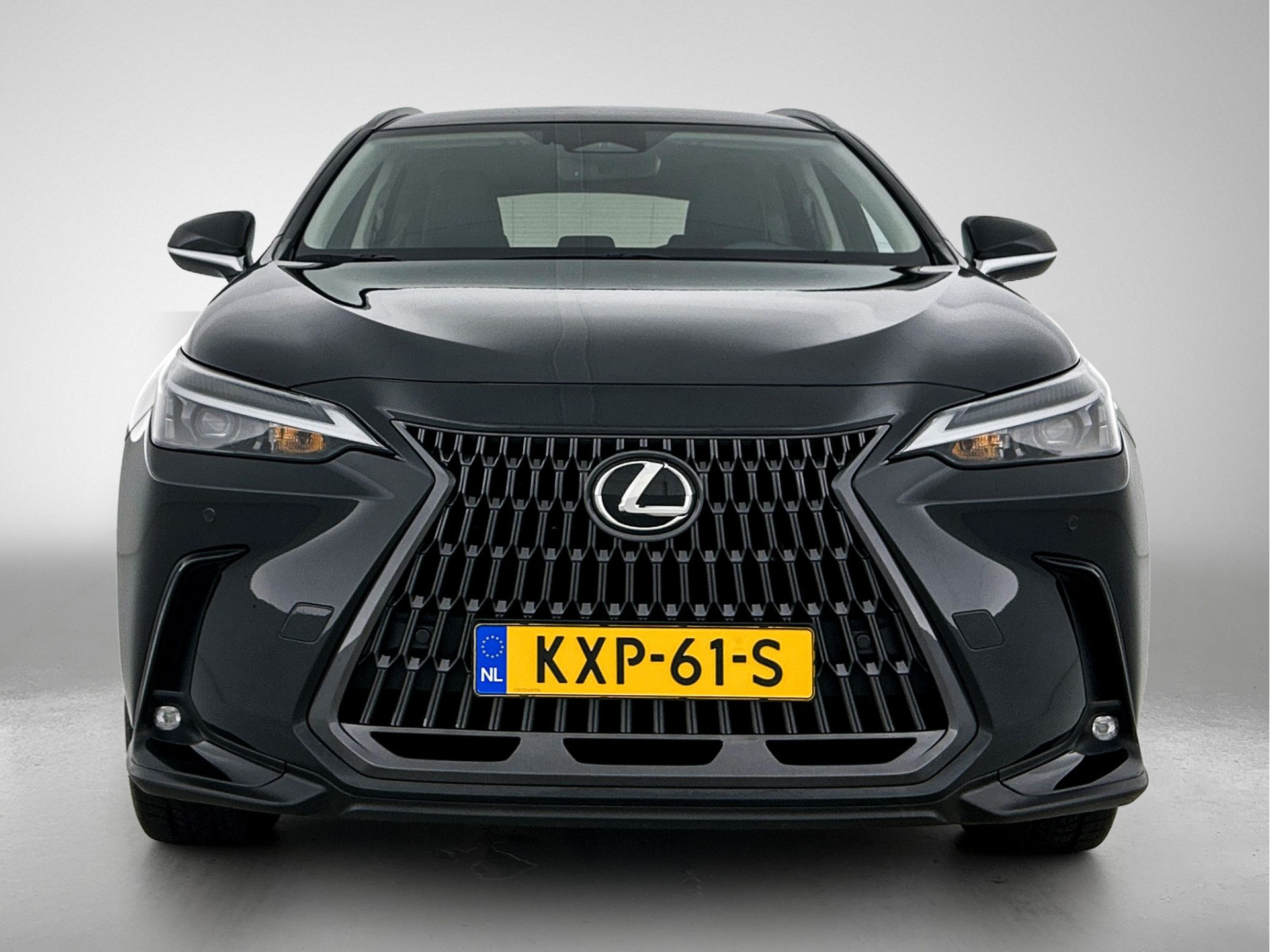 Foto van Lexus NX