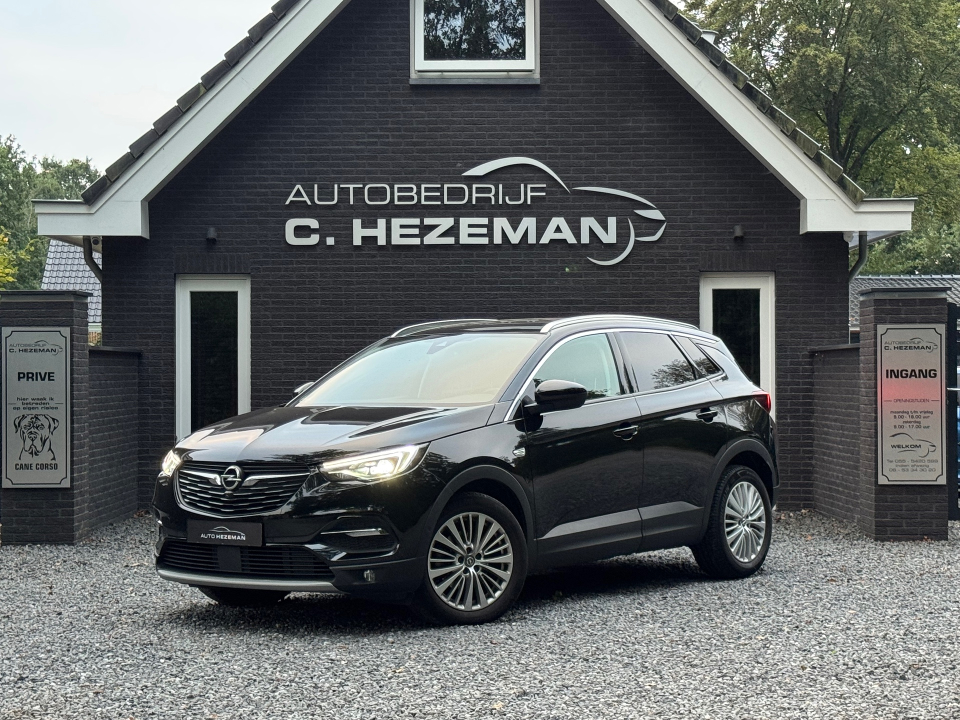 Foto van Opel Grandland X