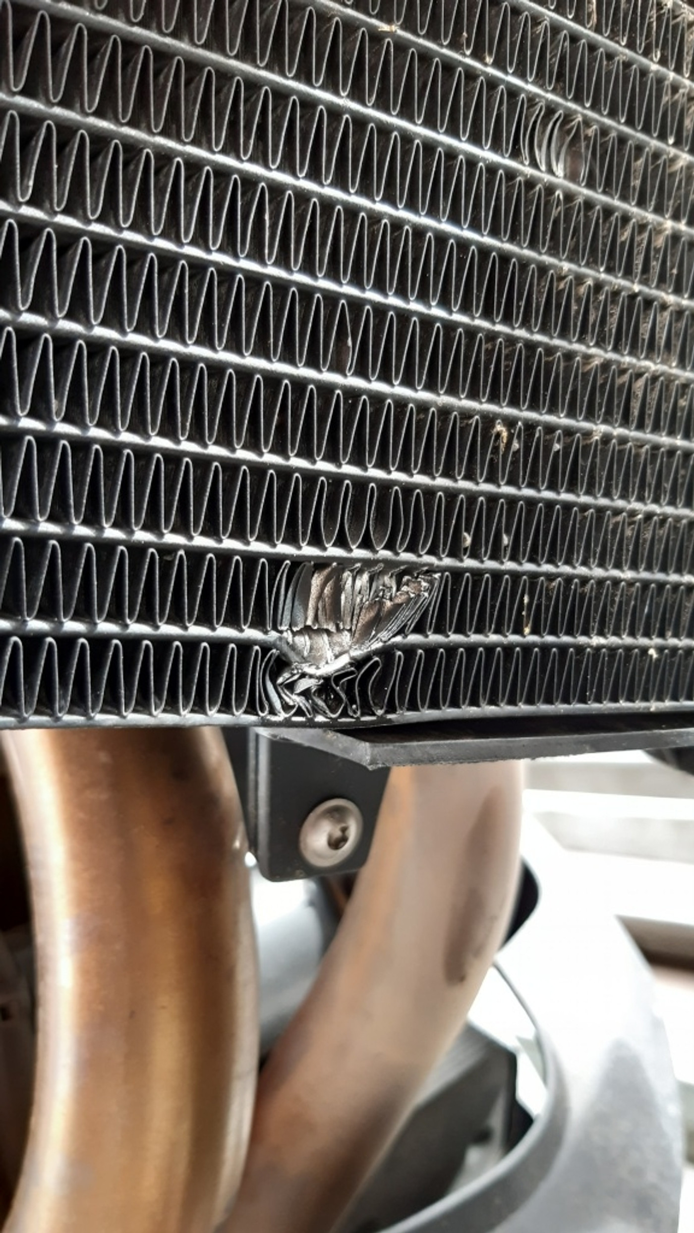 Foto van BMW F800r