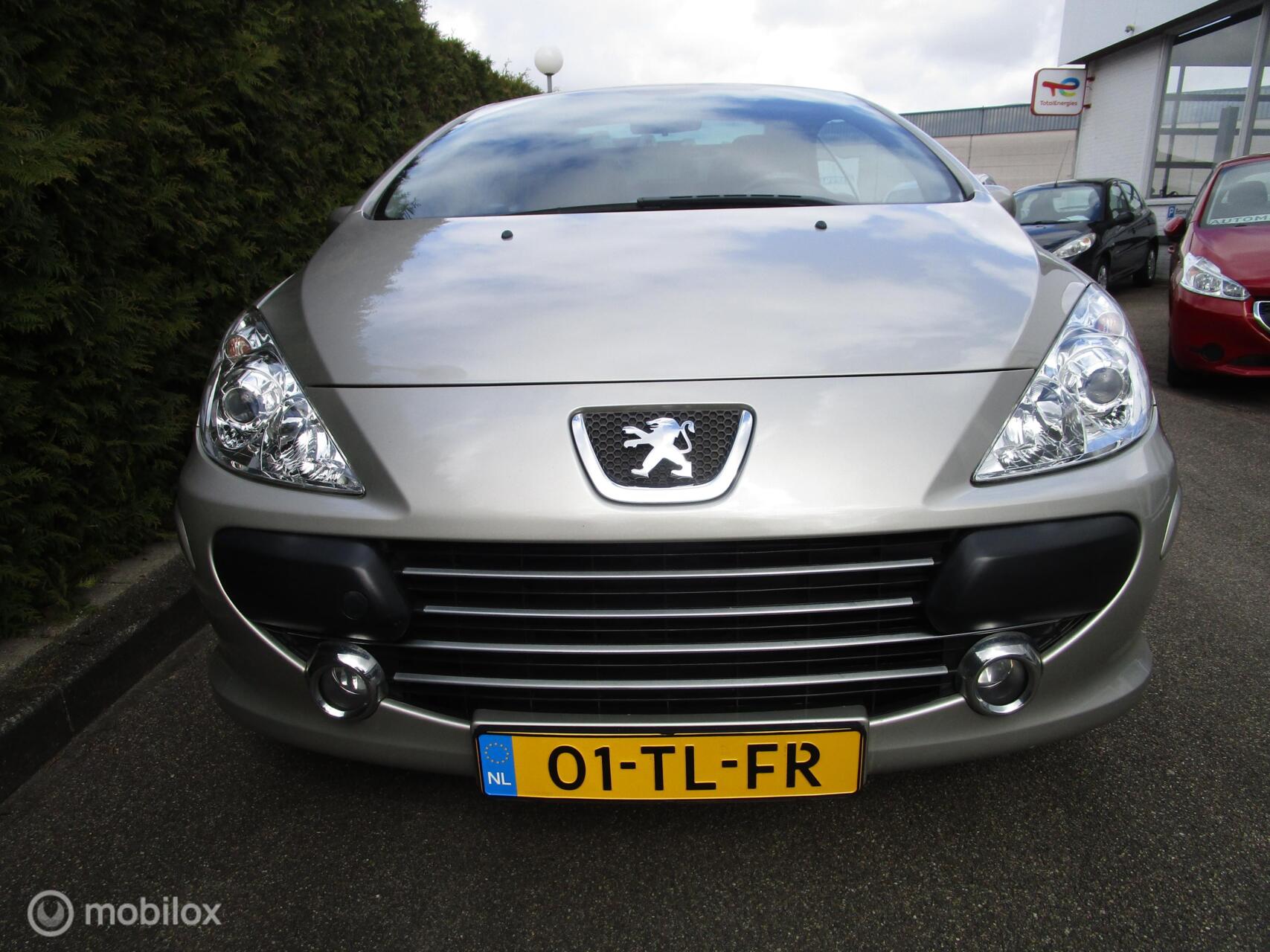 Foto van Peugeot 307