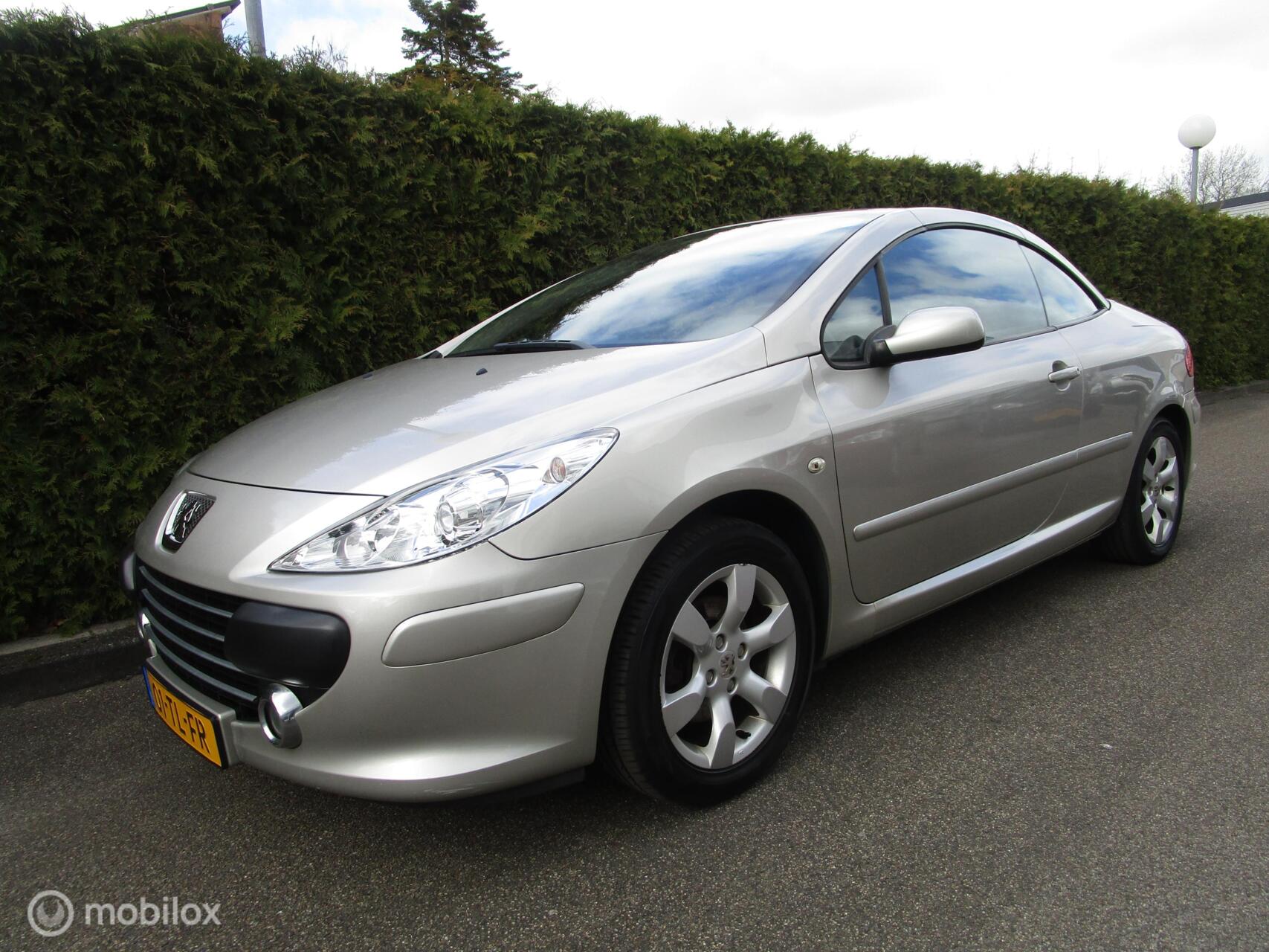Foto van Peugeot 307