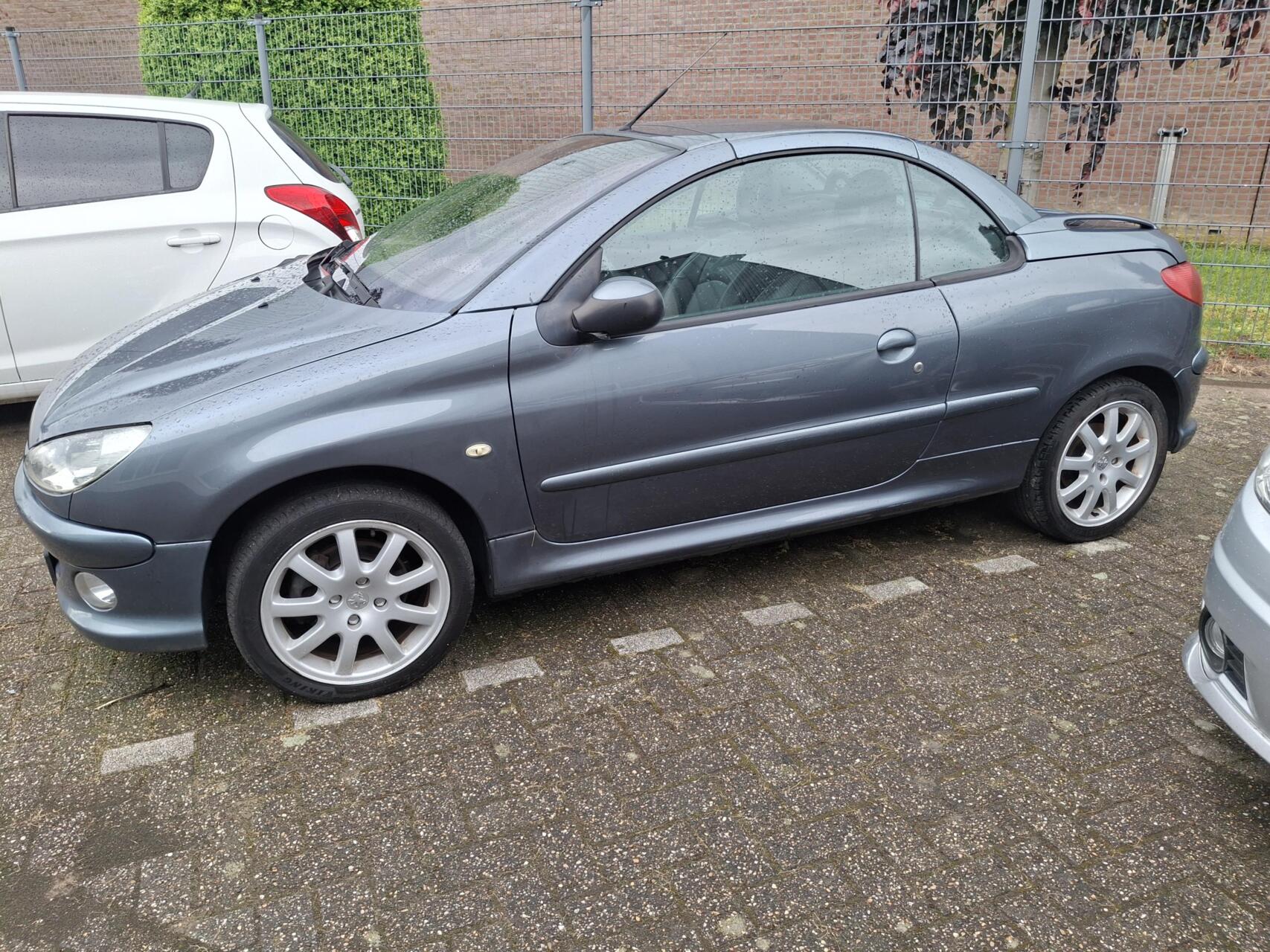 Foto van Peugeot 206