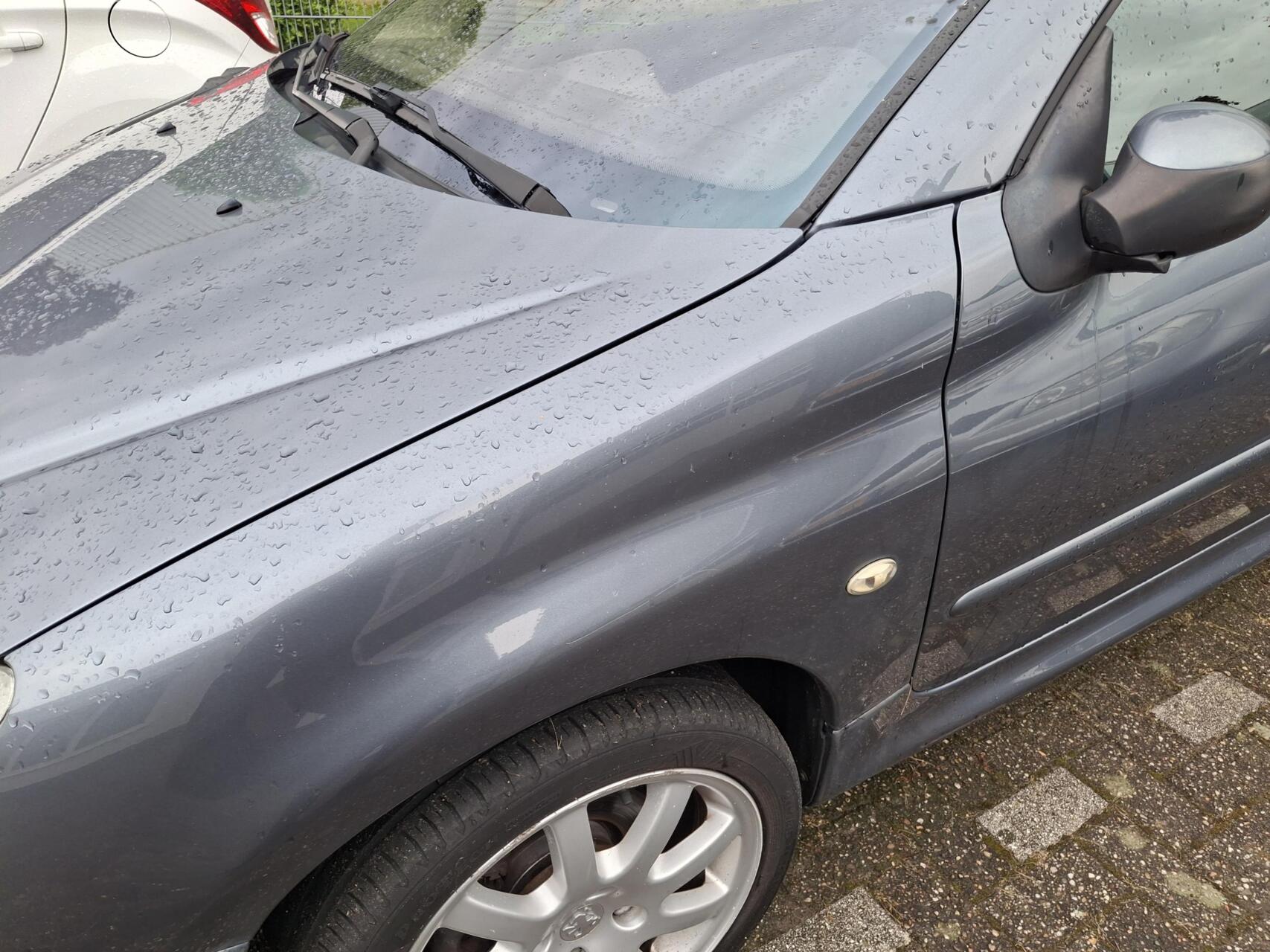 Foto van Peugeot 206