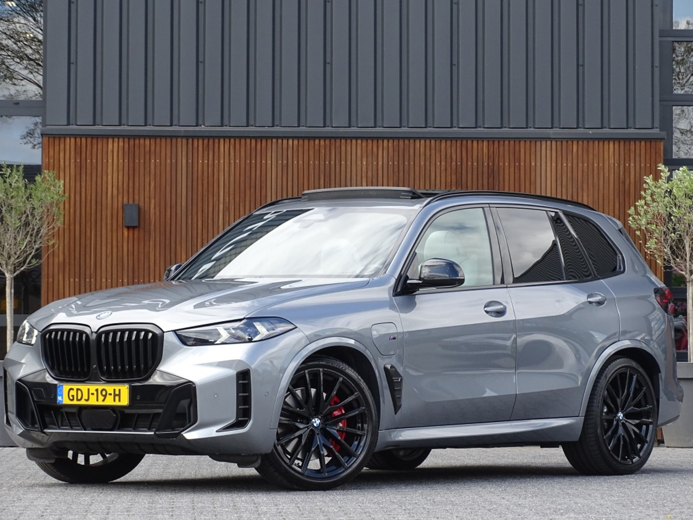 Foto van BMW X5 Xdrive50e