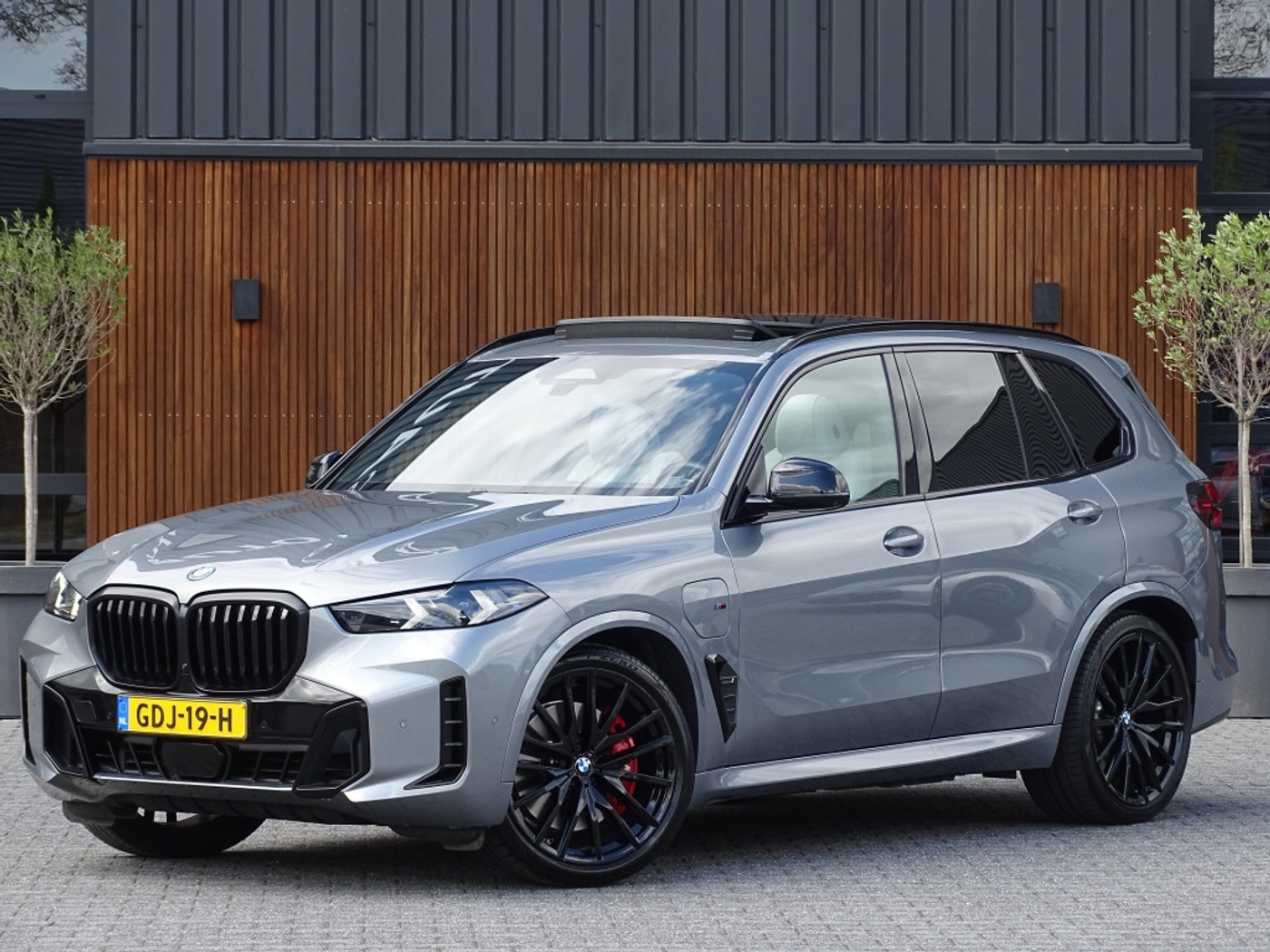 Foto van BMW X5 Xdrive50e