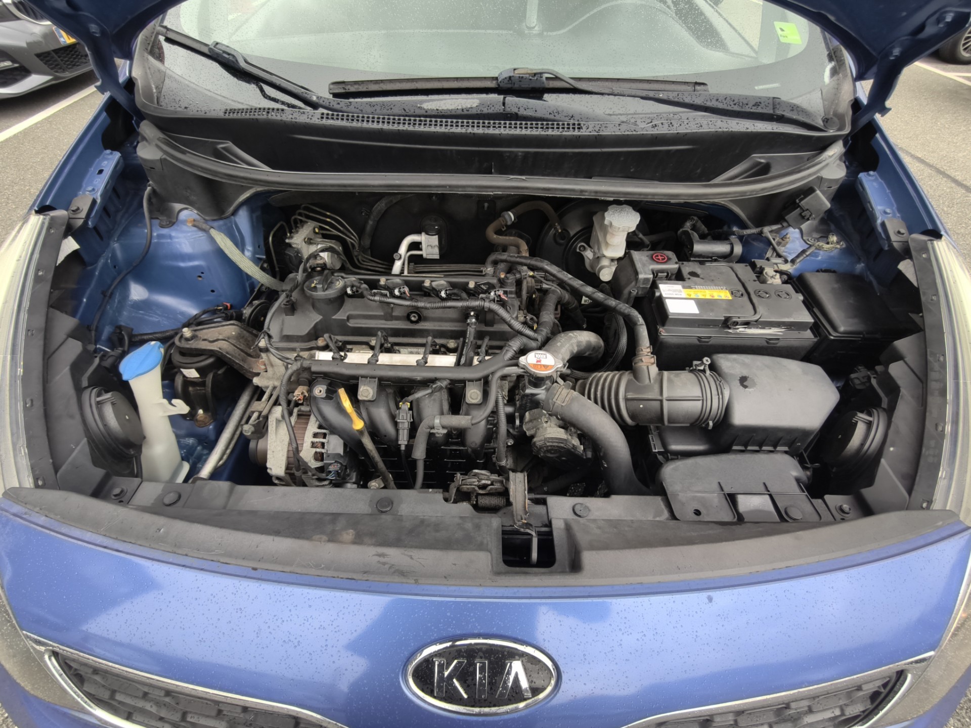 Foto van Kia Rio
