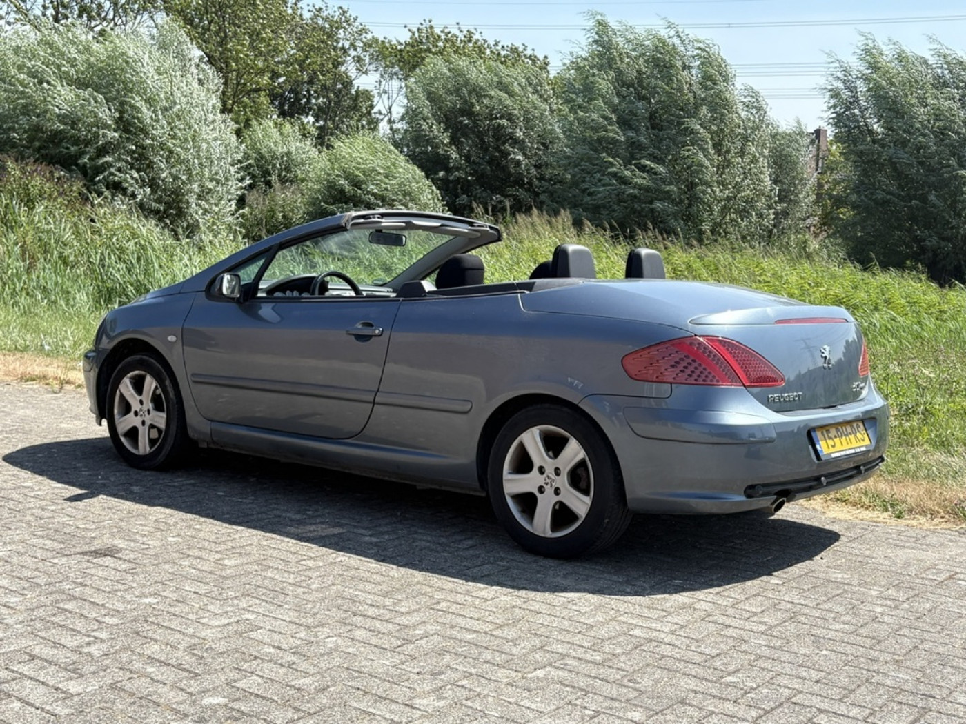 Foto van Peugeot 307