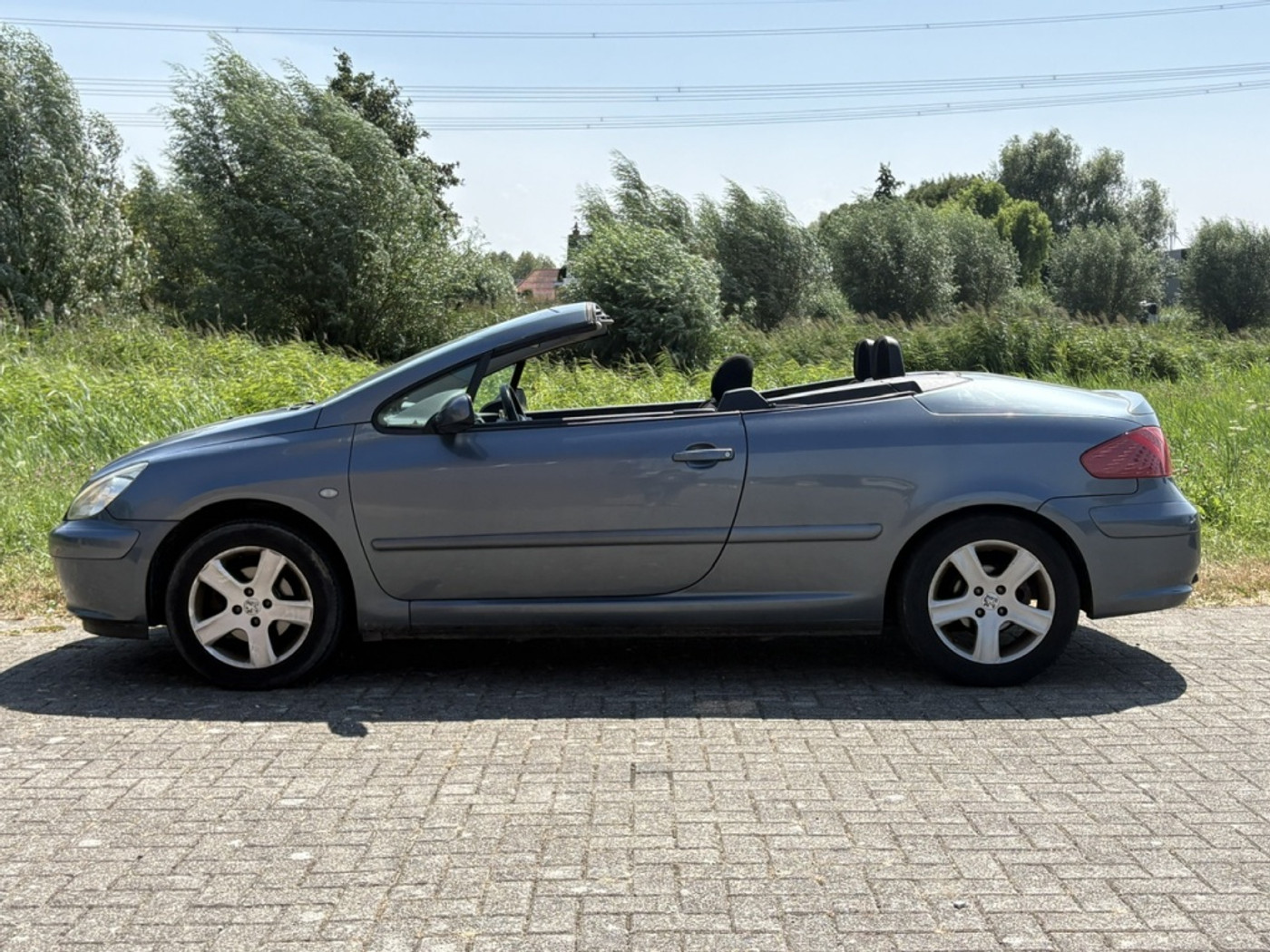 Foto van Peugeot 307