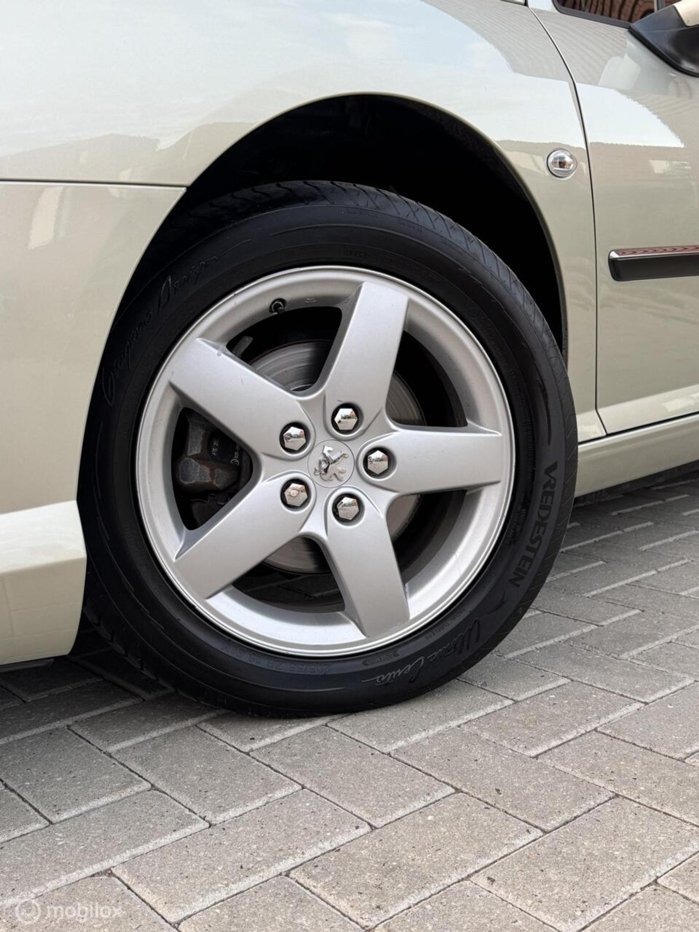 Foto van Peugeot 407