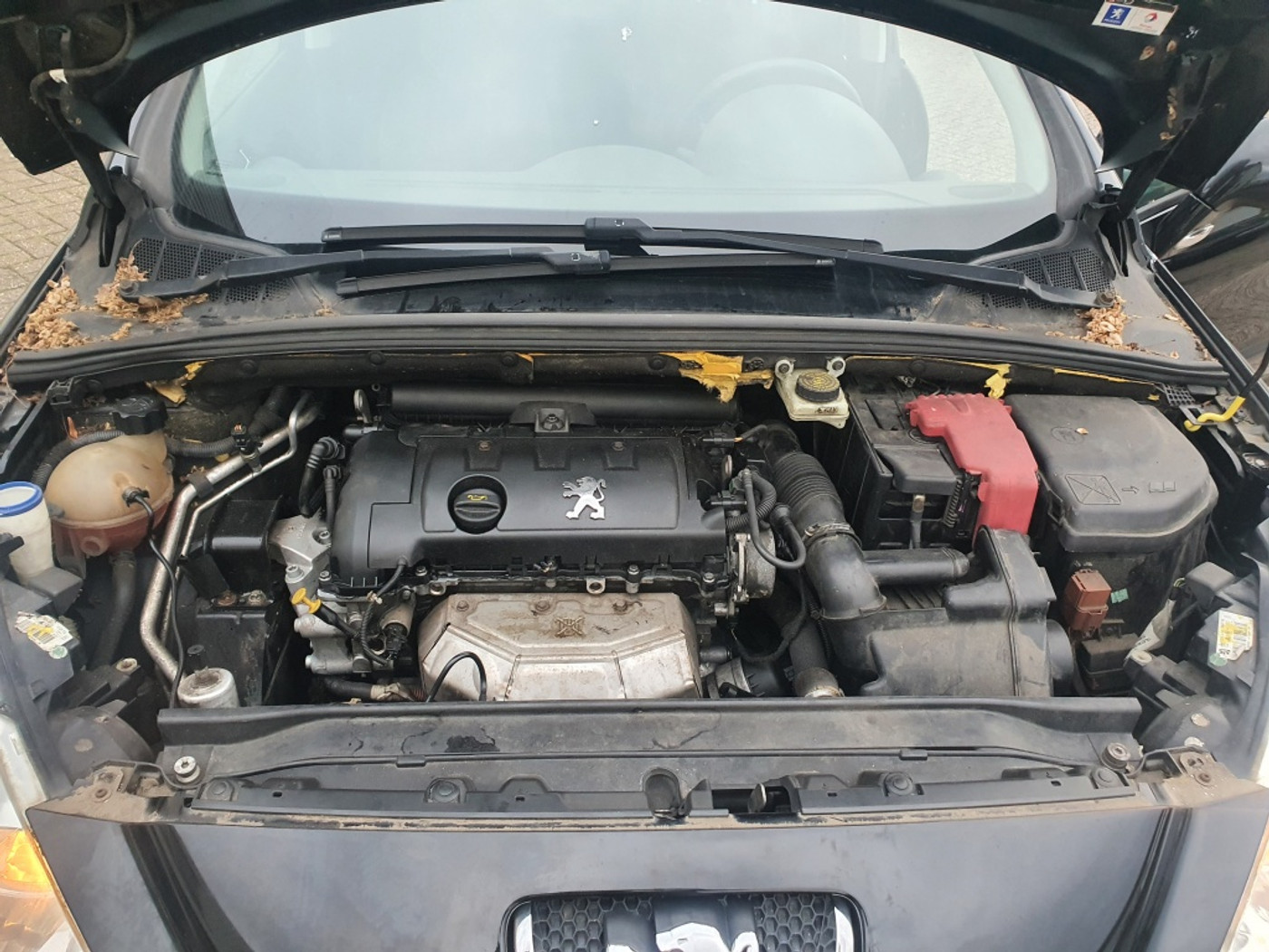 Foto van Peugeot 308
