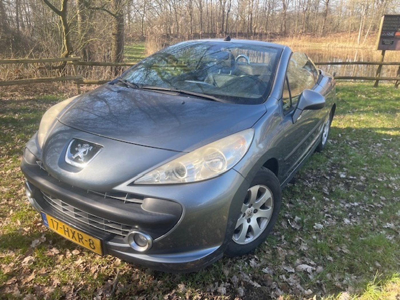Foto van Peugeot 207