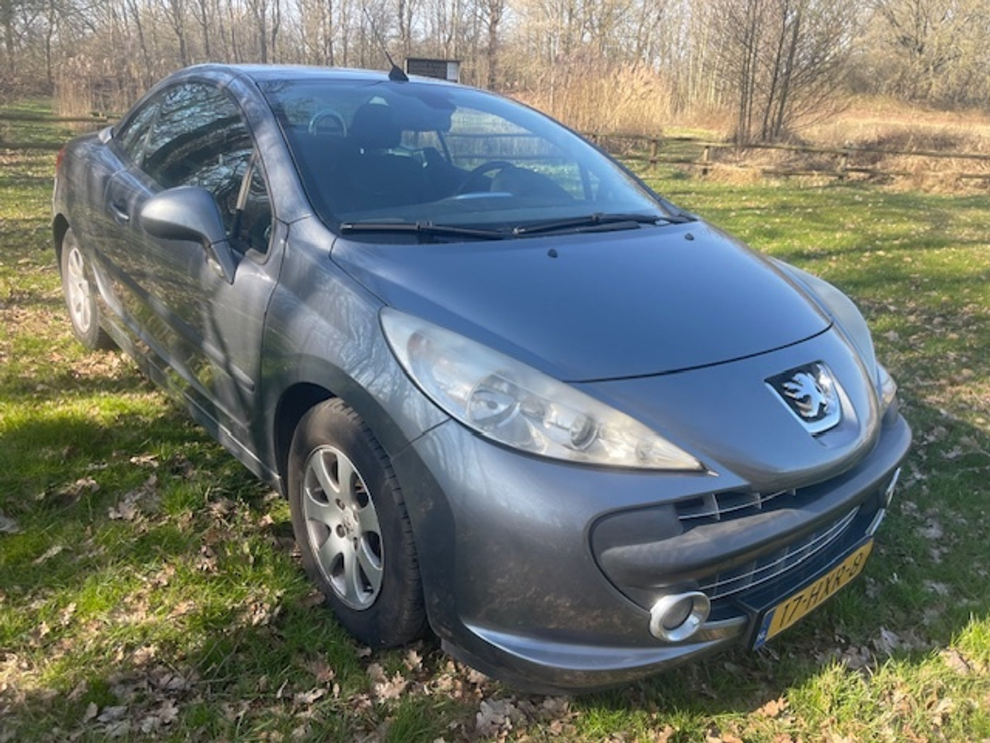 Foto van Peugeot 207