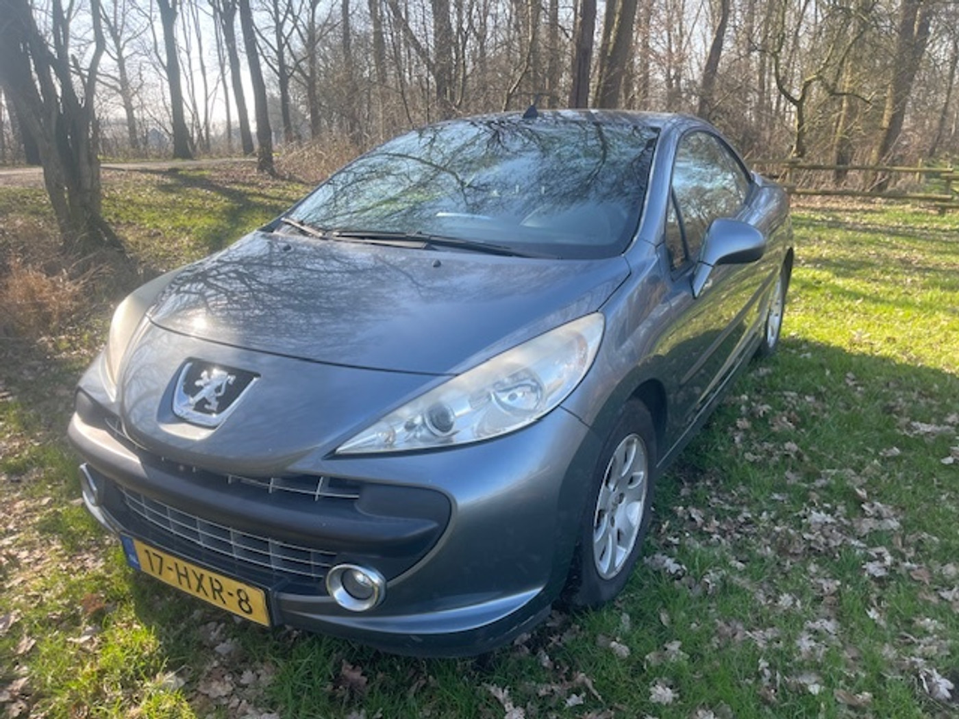 Foto van Peugeot 207