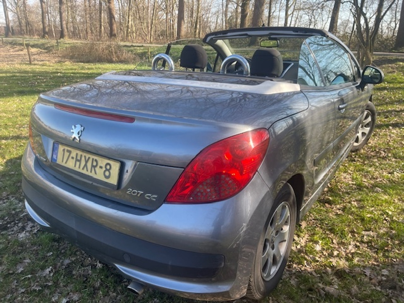 Foto van Peugeot 207