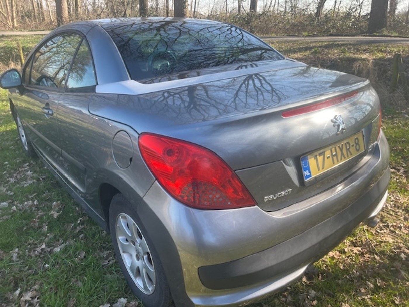 Foto van Peugeot 207