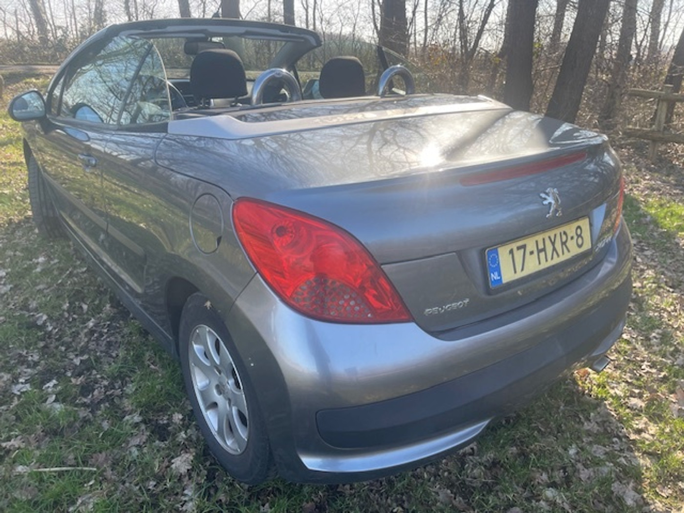 Foto van Peugeot 207