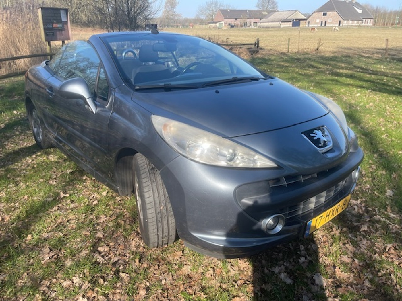 Foto van Peugeot 207