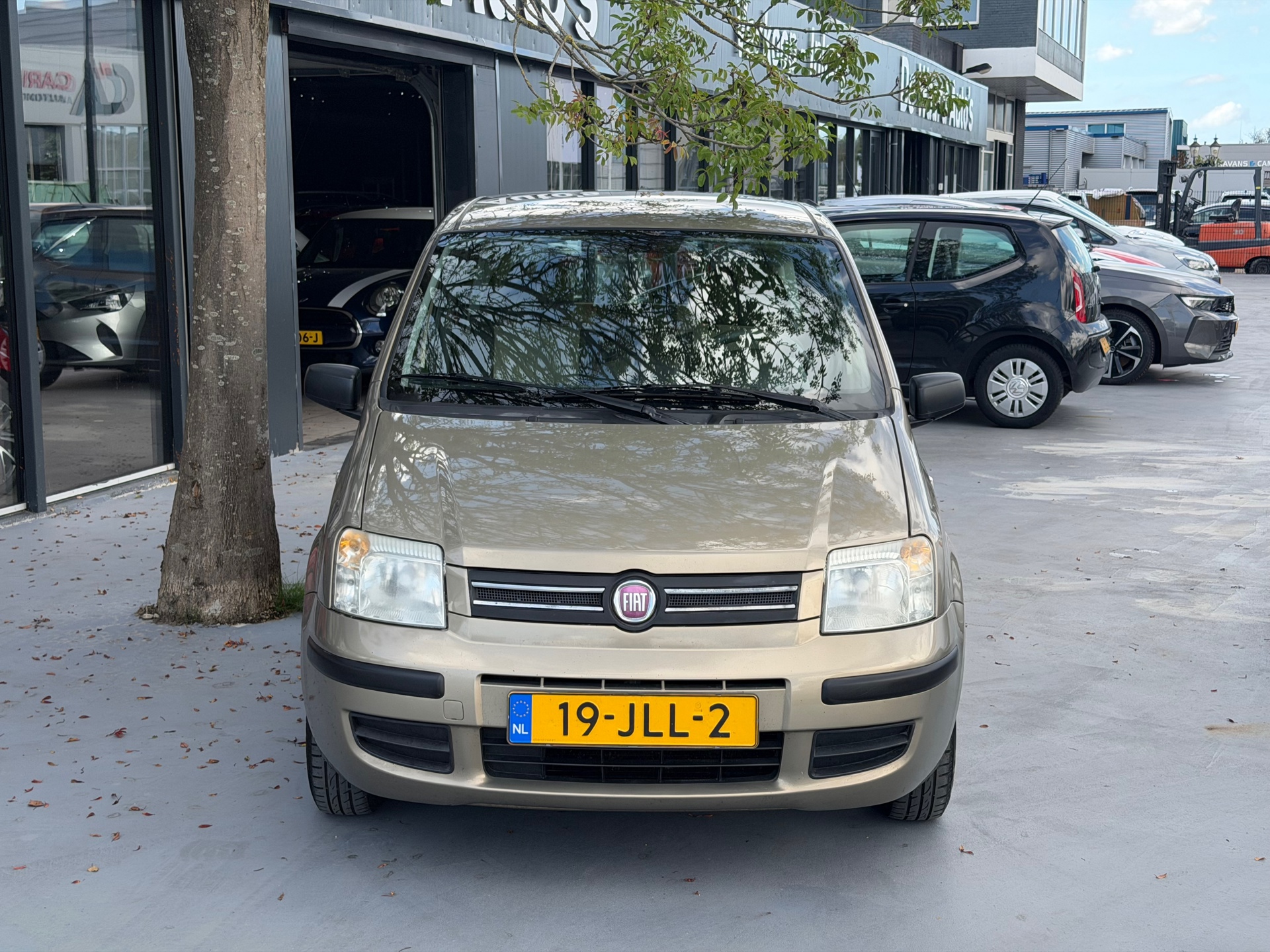 Foto van Fiat Fiat Panda