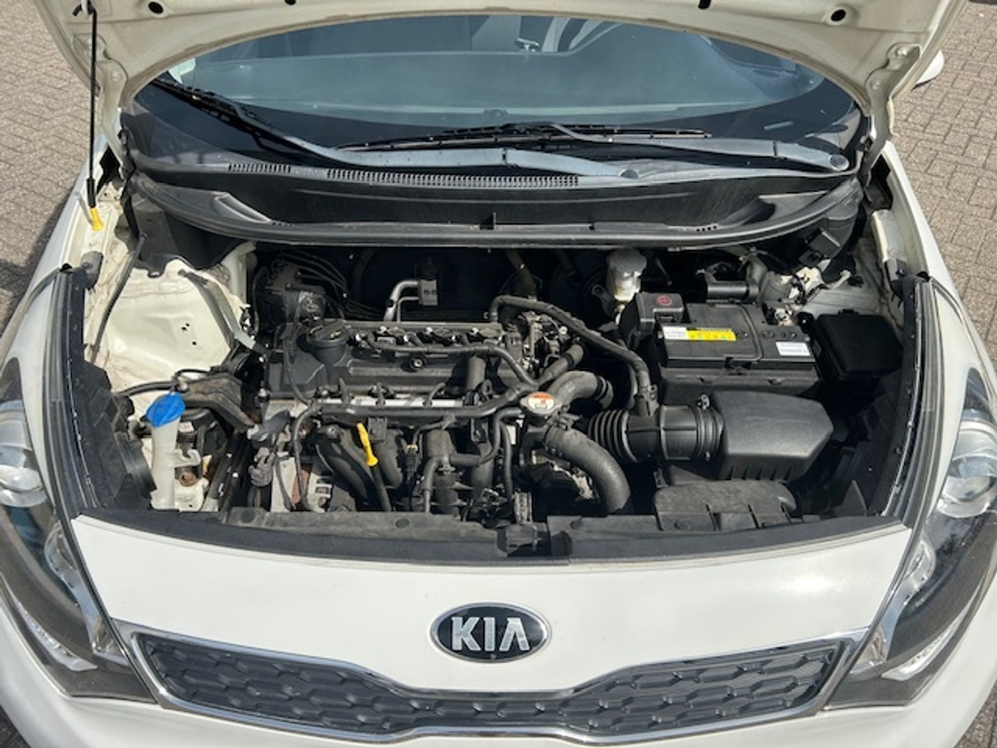 Foto van Kia Rio