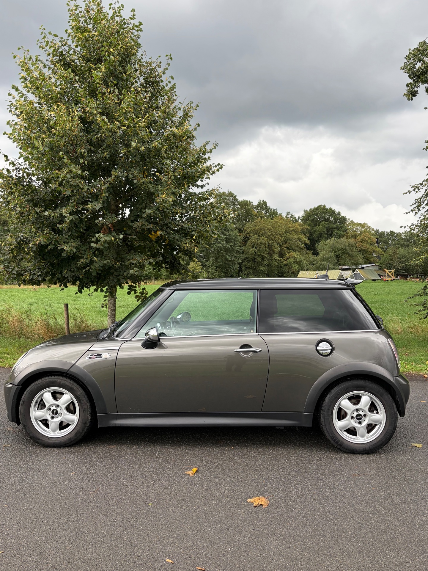 Foto van Mini Mini Cooper S