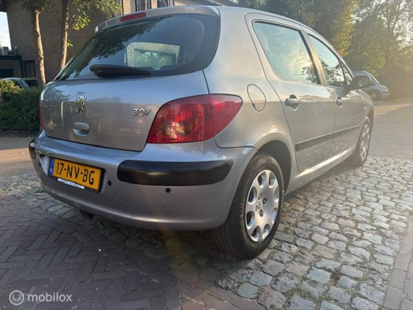 Foto van Peugeot 307