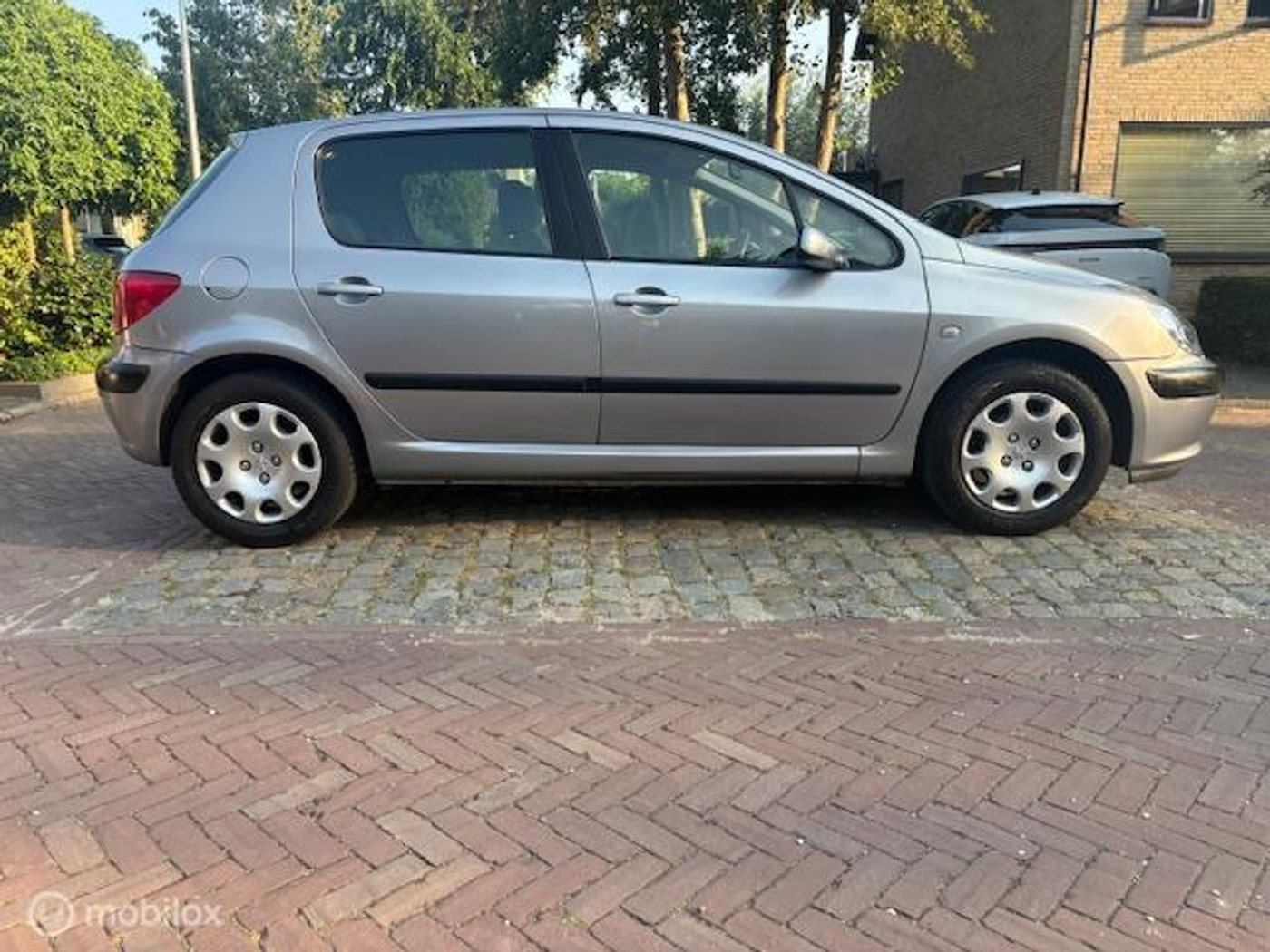 Foto van Peugeot 307
