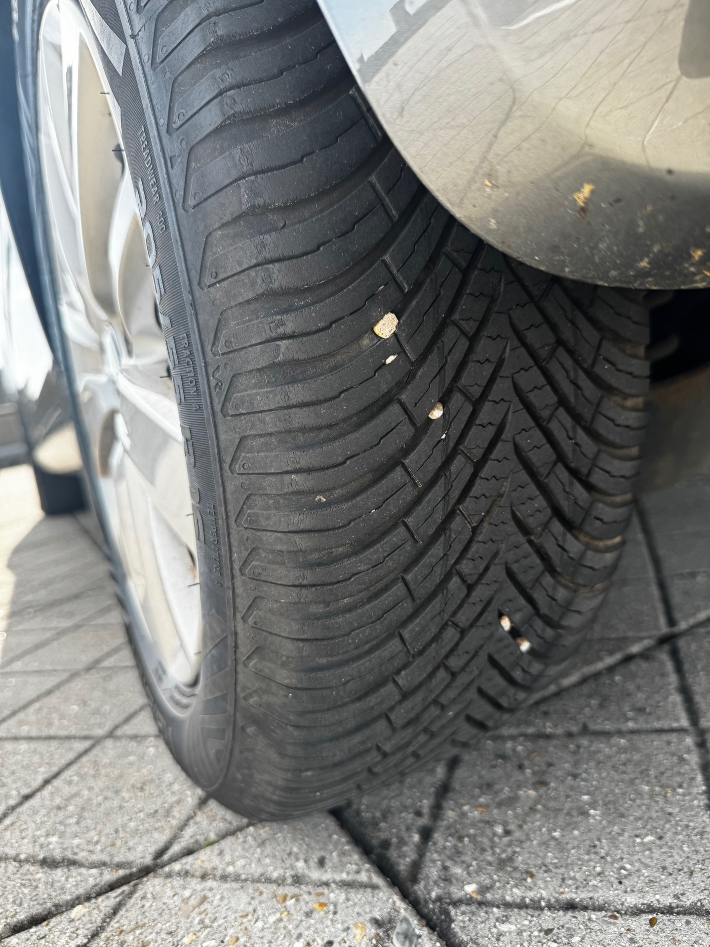 Foto van Volkswagen Golf Plus