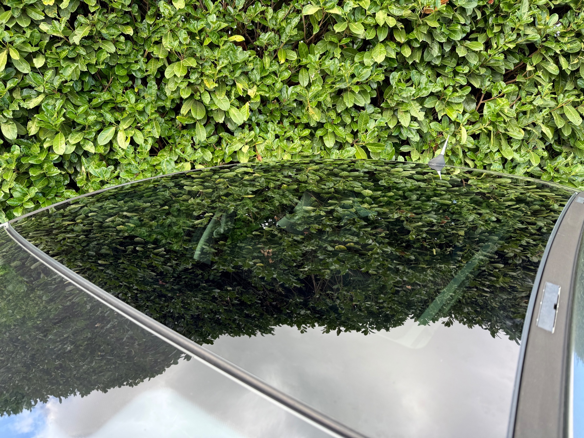 Foto van Peugeot 207