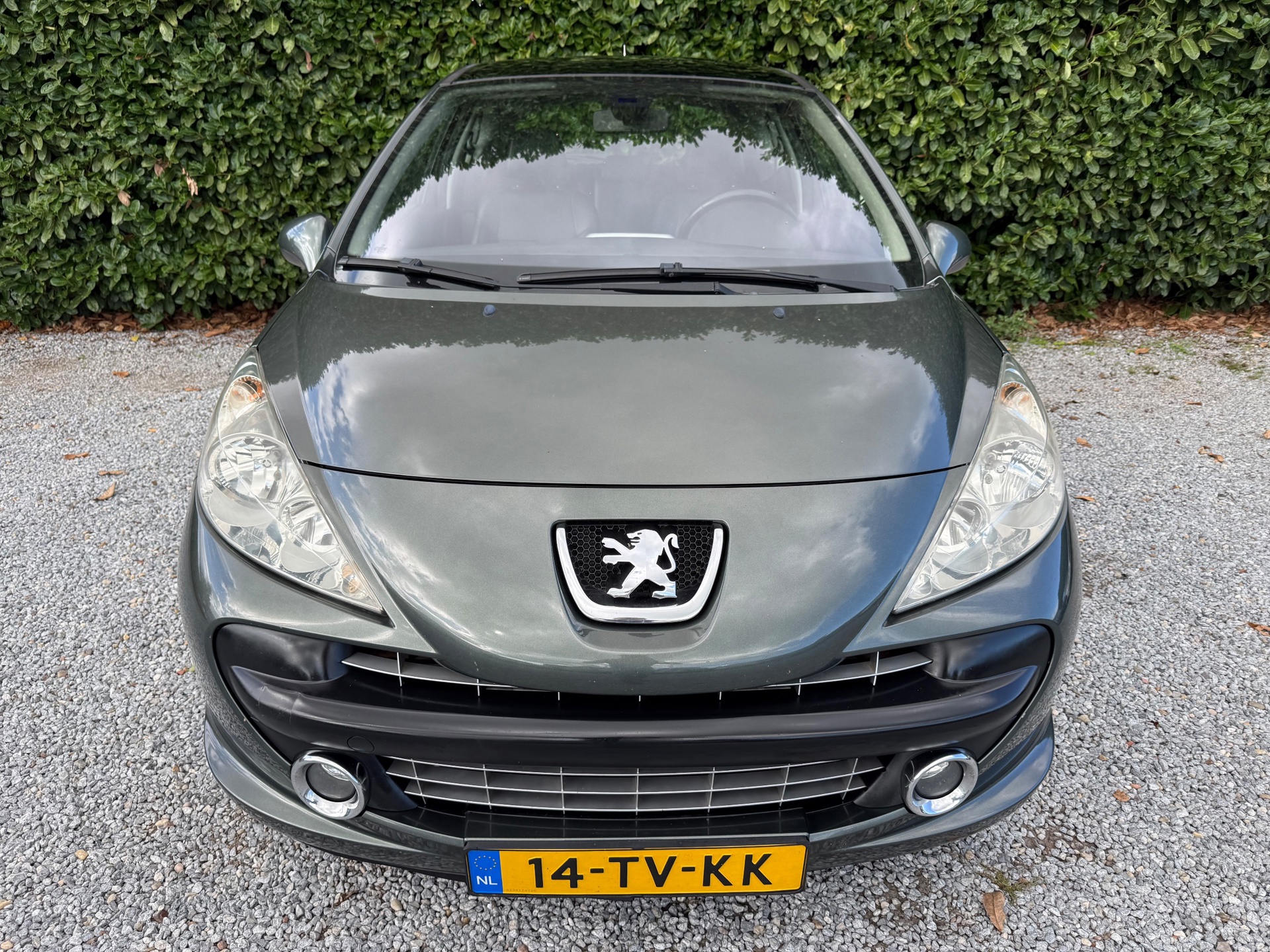 Foto van Peugeot 207