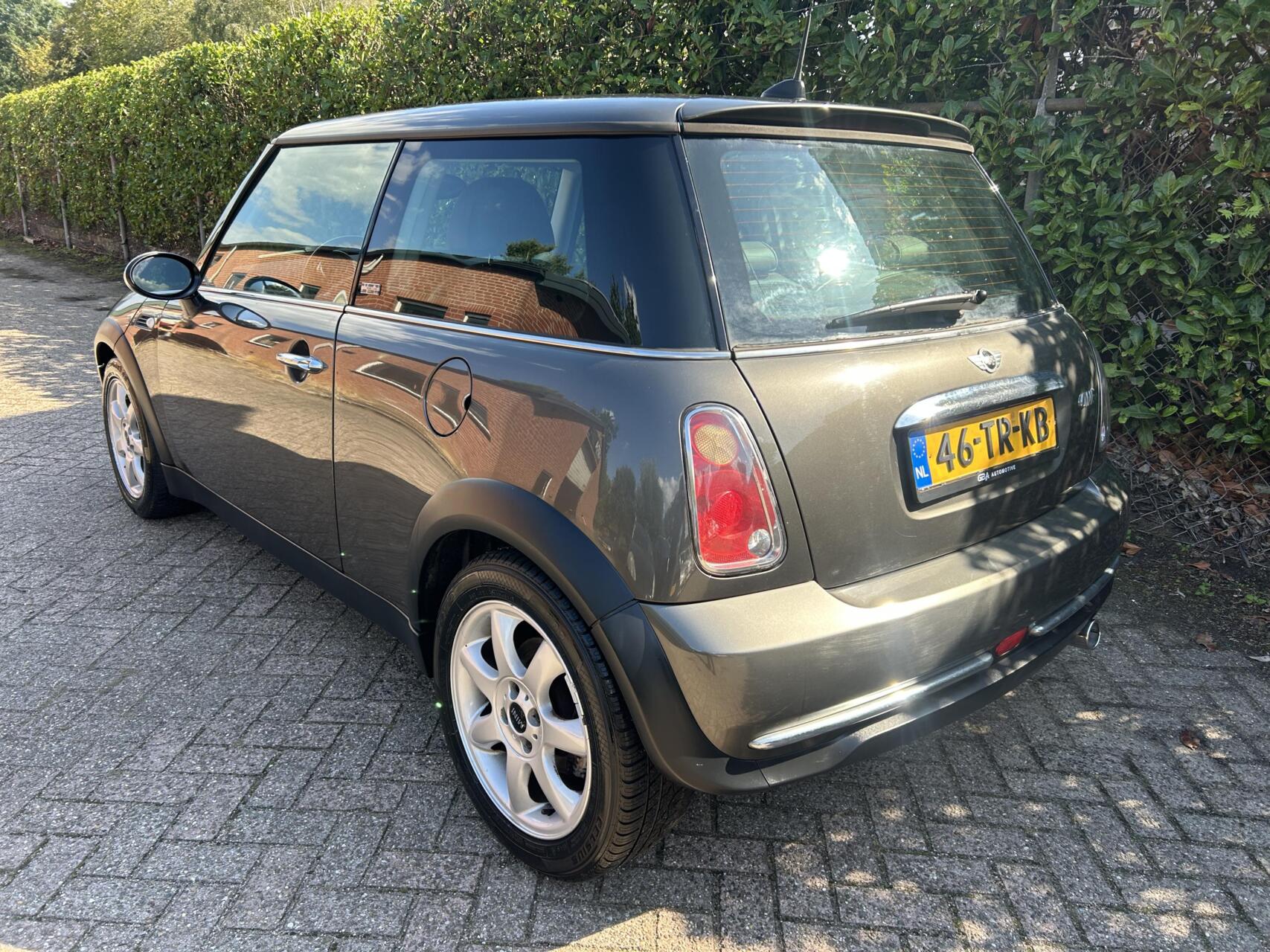 Foto van Mini Mini One