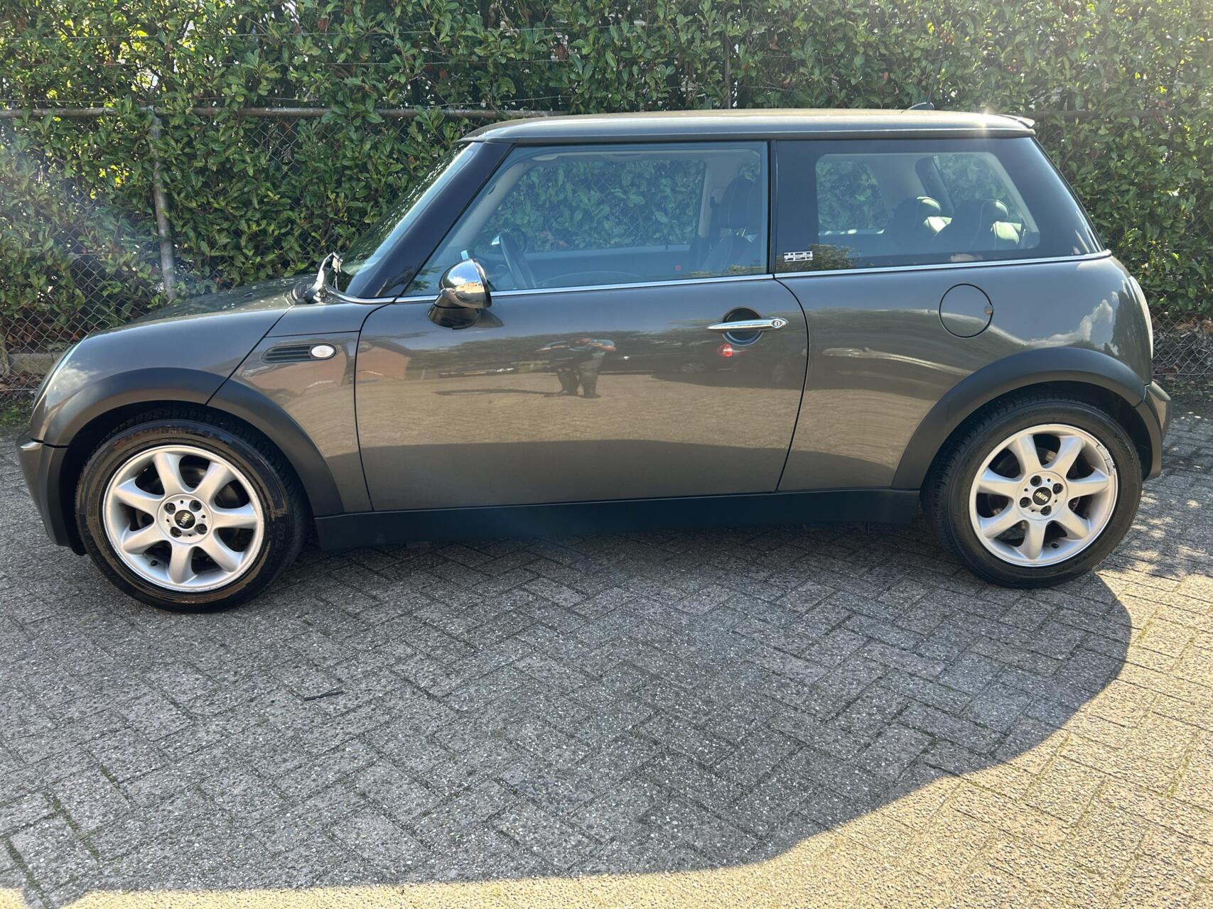 Foto van Mini Mini One