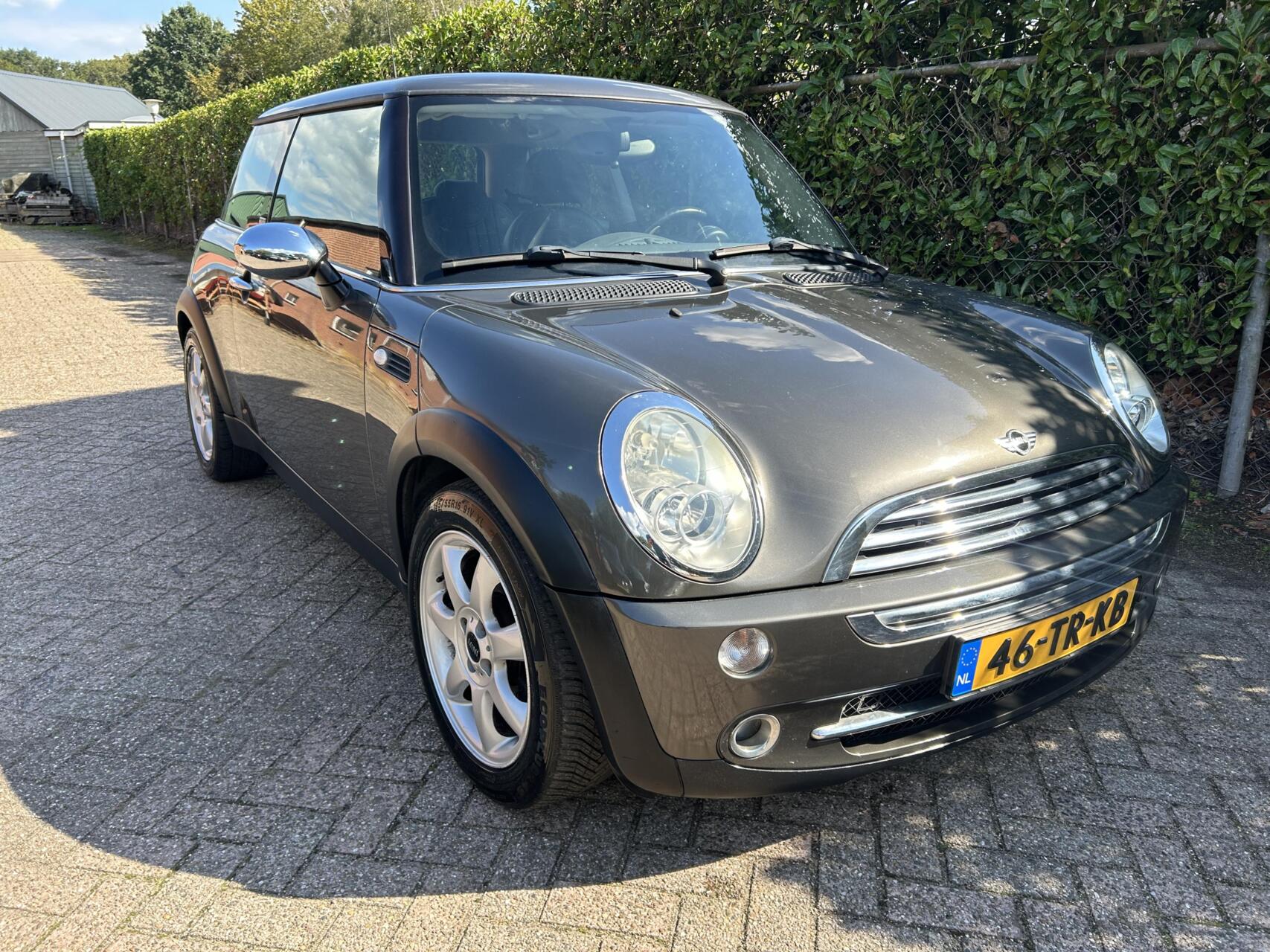 Foto van Mini Mini One