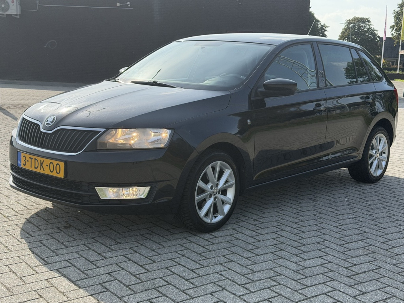 Foto van Skoda Rapid