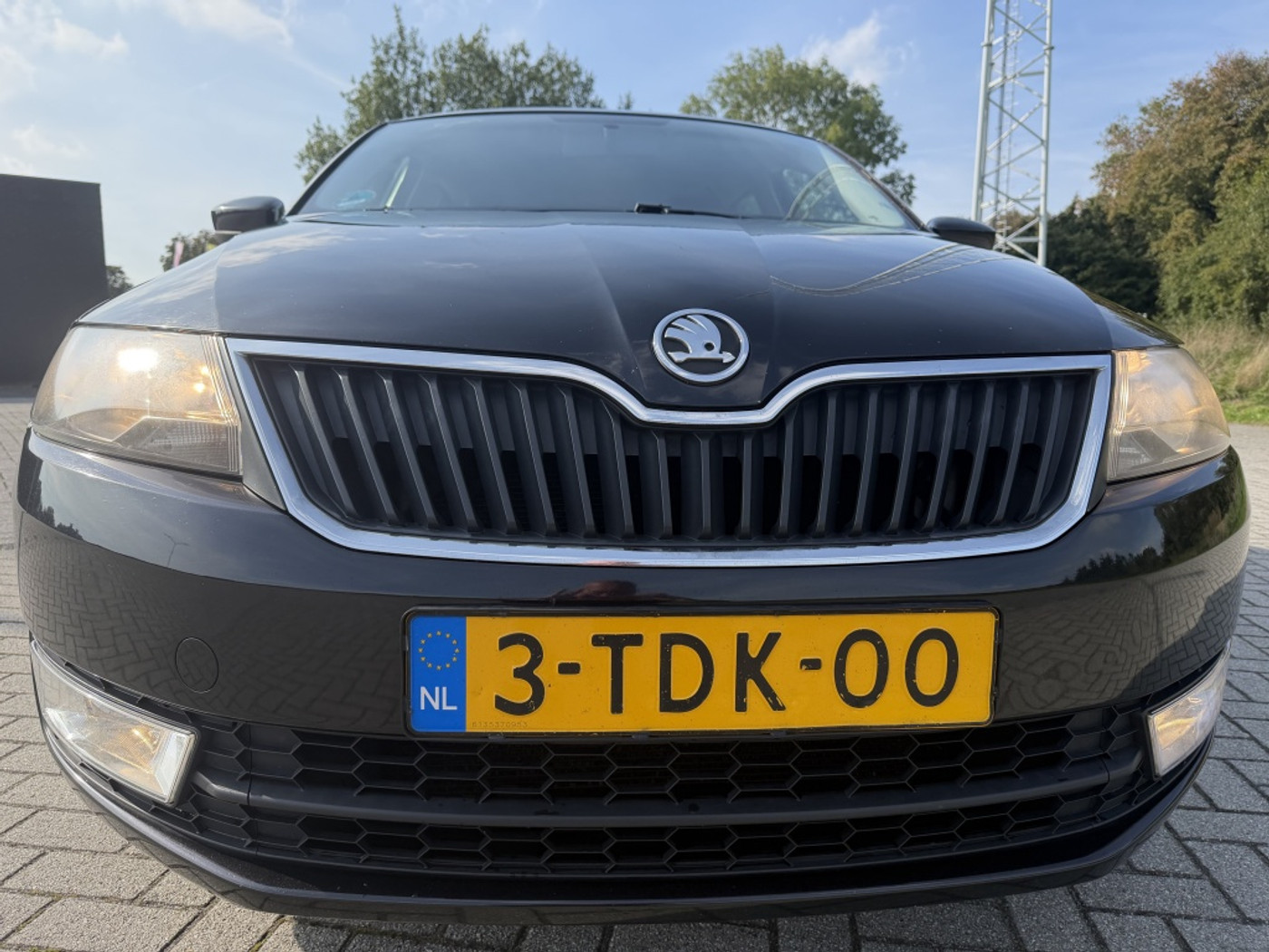 Foto van Skoda Rapid
