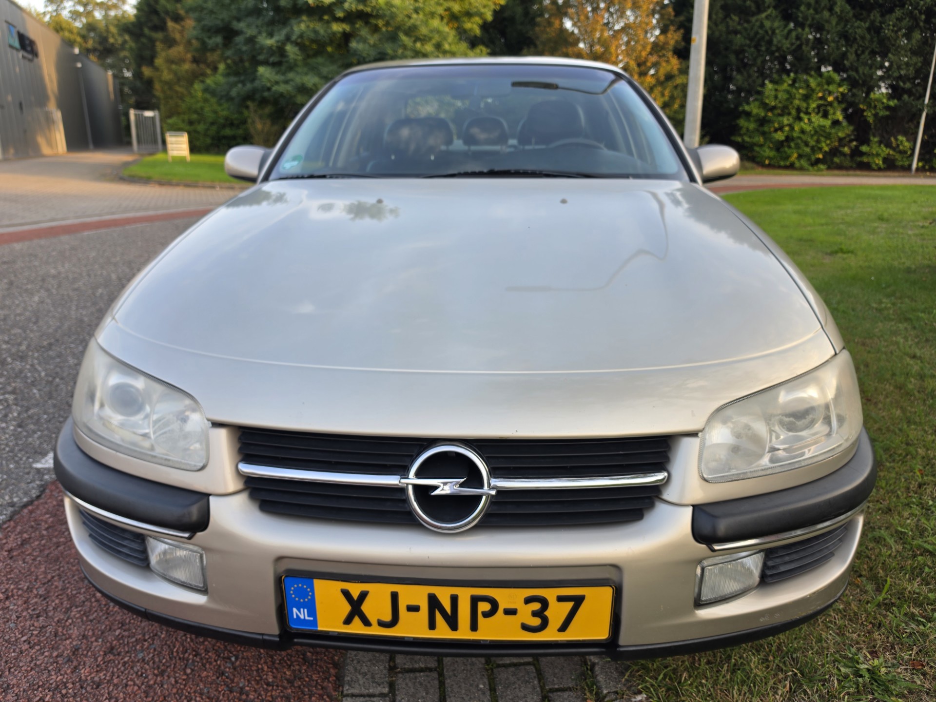 Foto van Opel Omega-b