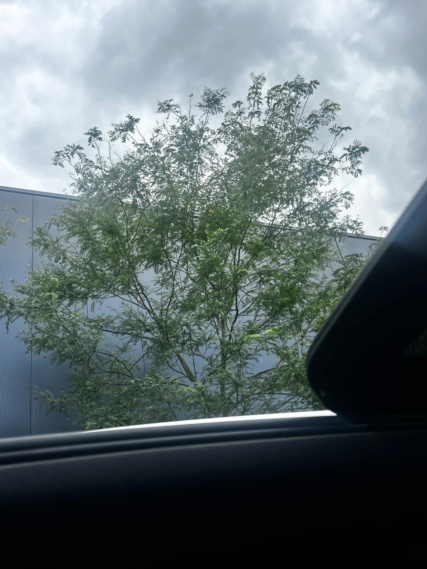 Foto van Porsche Cayenne