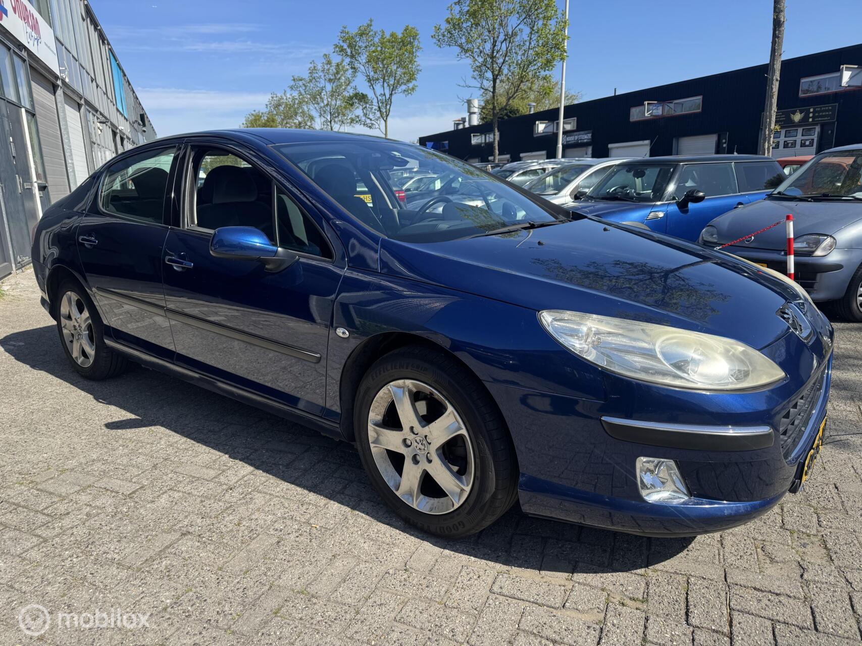Foto van Peugeot 407