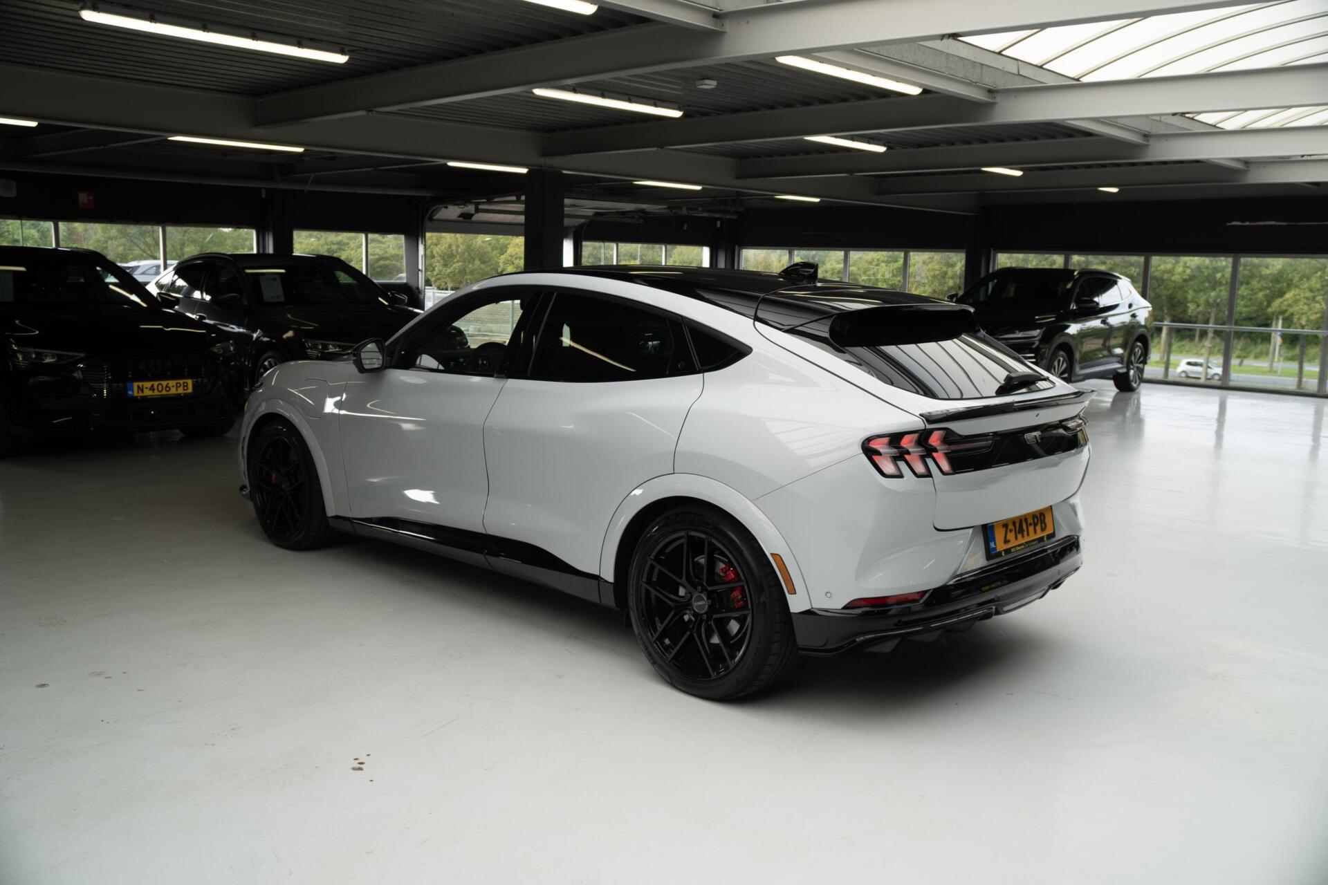 Foto van Ford Mustang Mach-e