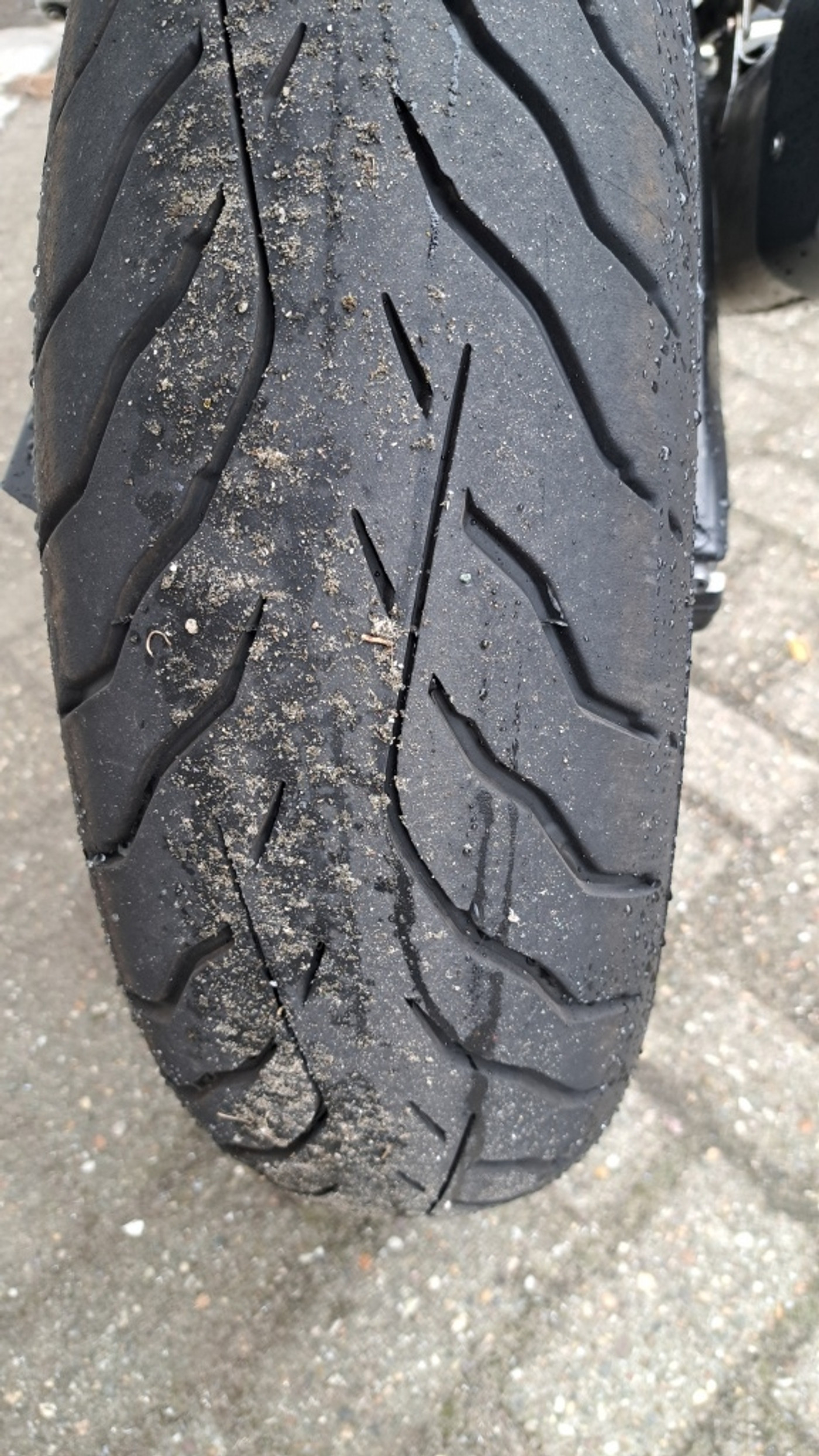 Foto van BMW F 900 R
