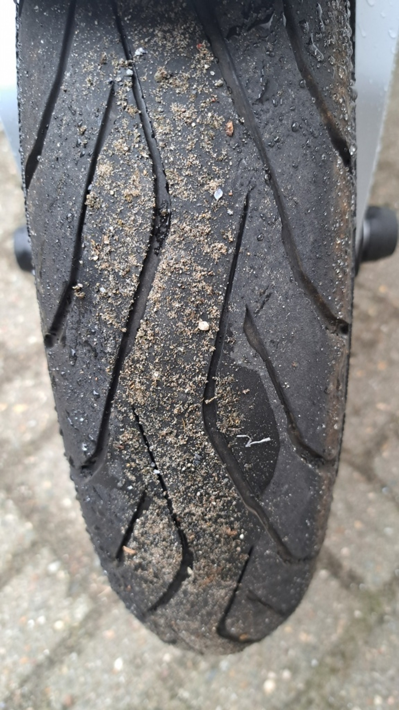 Foto van BMW F 900 R