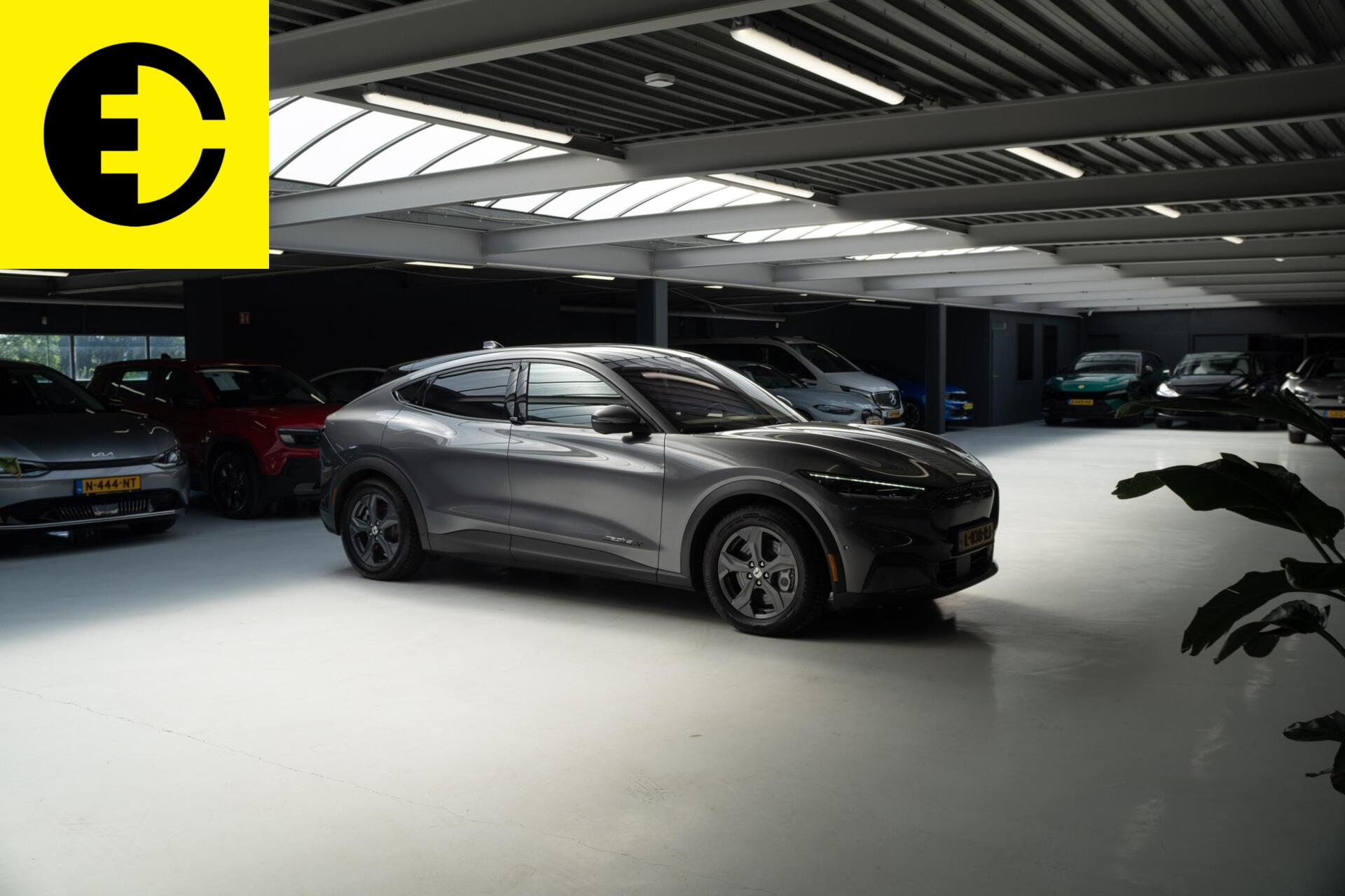 Foto van Ford Mustang Mach-e